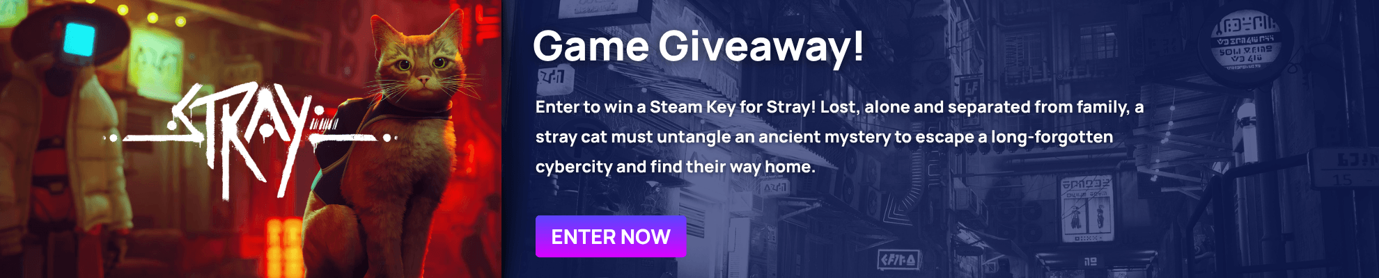 Stray Giveaway Banner Image