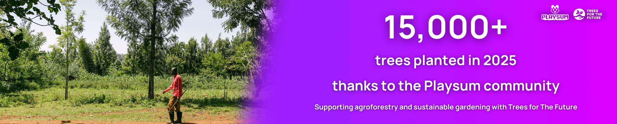 Playsum Trees - Search page Banner Image