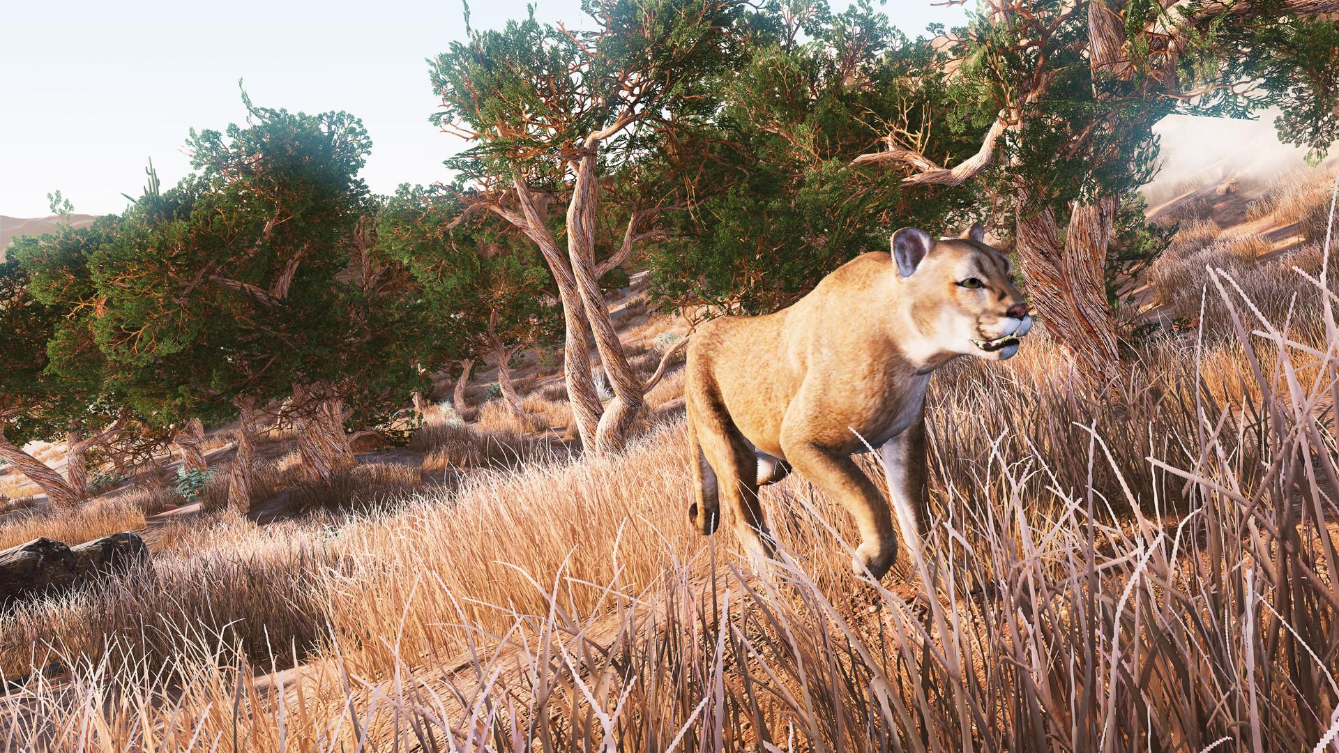 Hunting Simulator screenshot 9