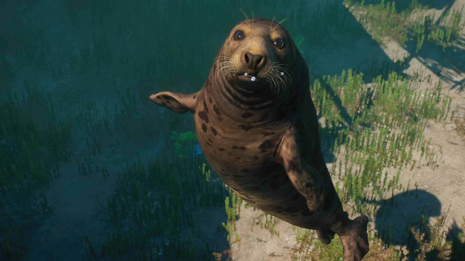 Planet Zoo: Aquatic Pack  screenshot 10