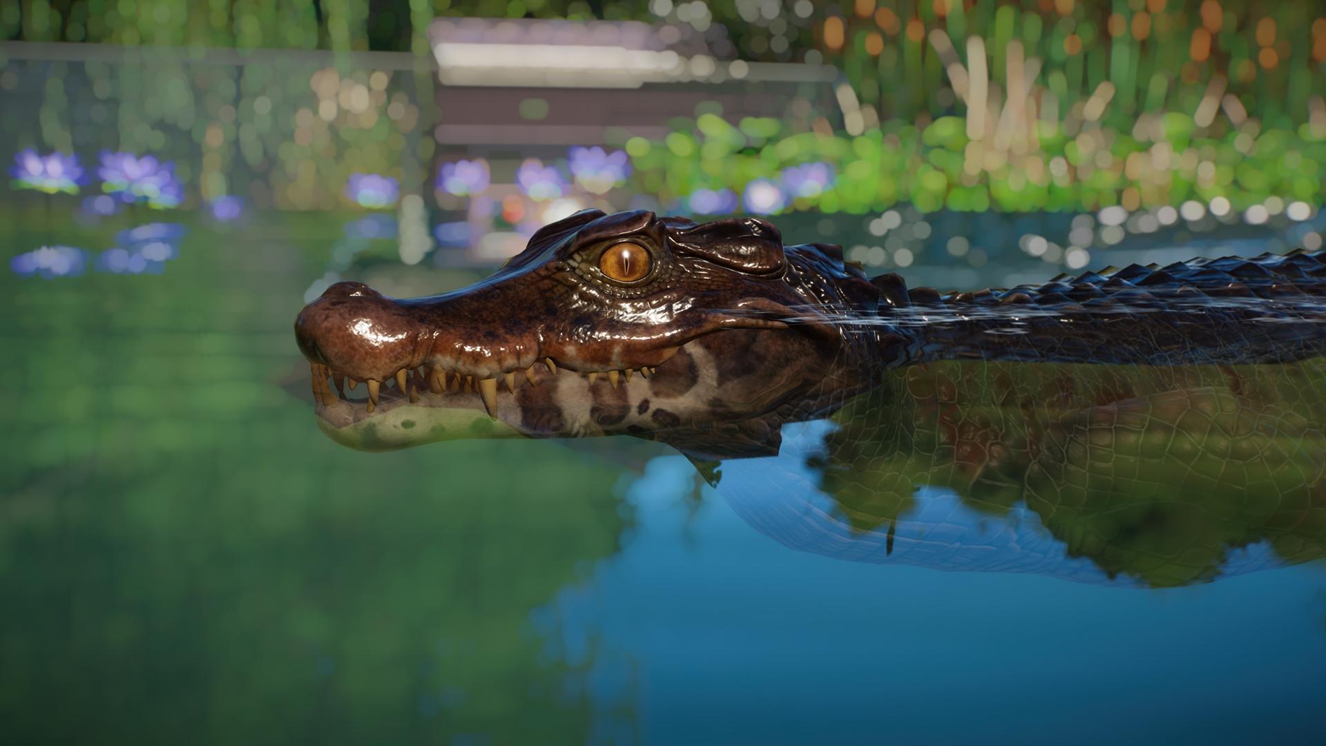 Planet Zoo: Aquatic Pack  screenshot 12