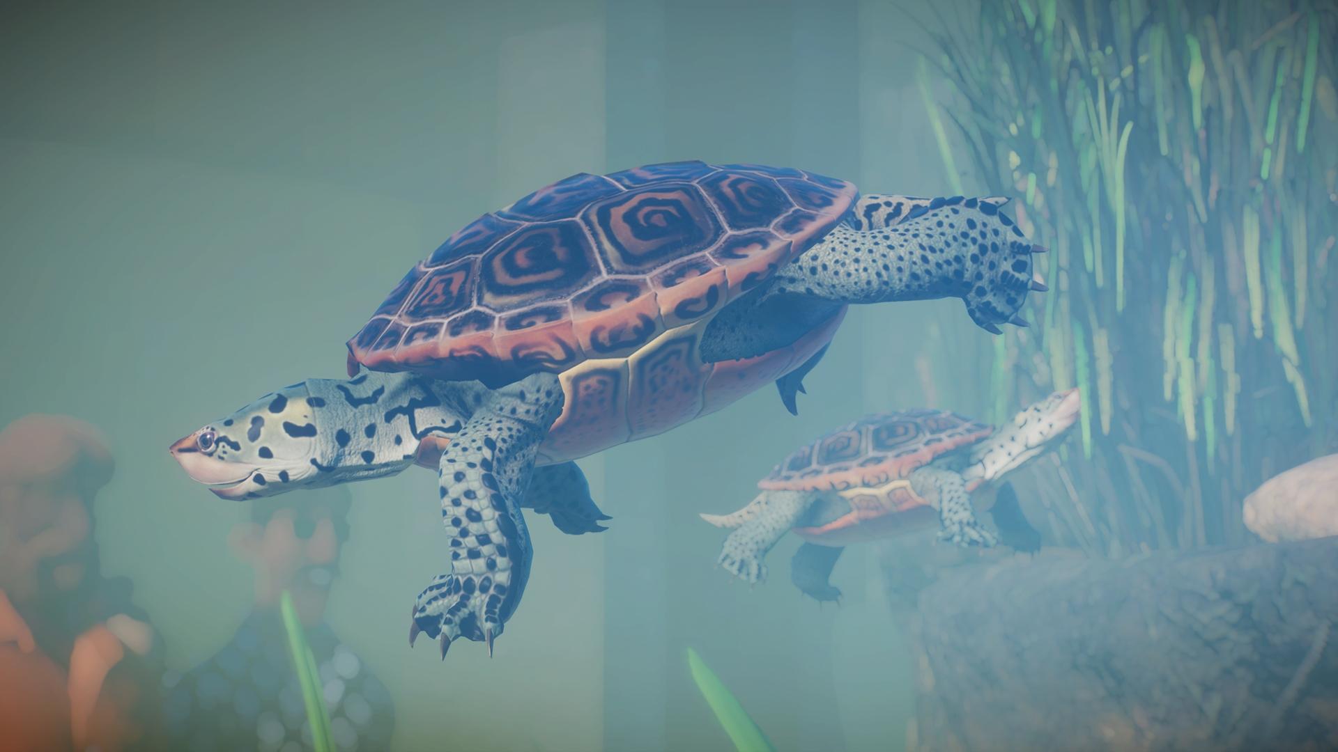 Planet Zoo: Aquatic Pack  screenshot 13