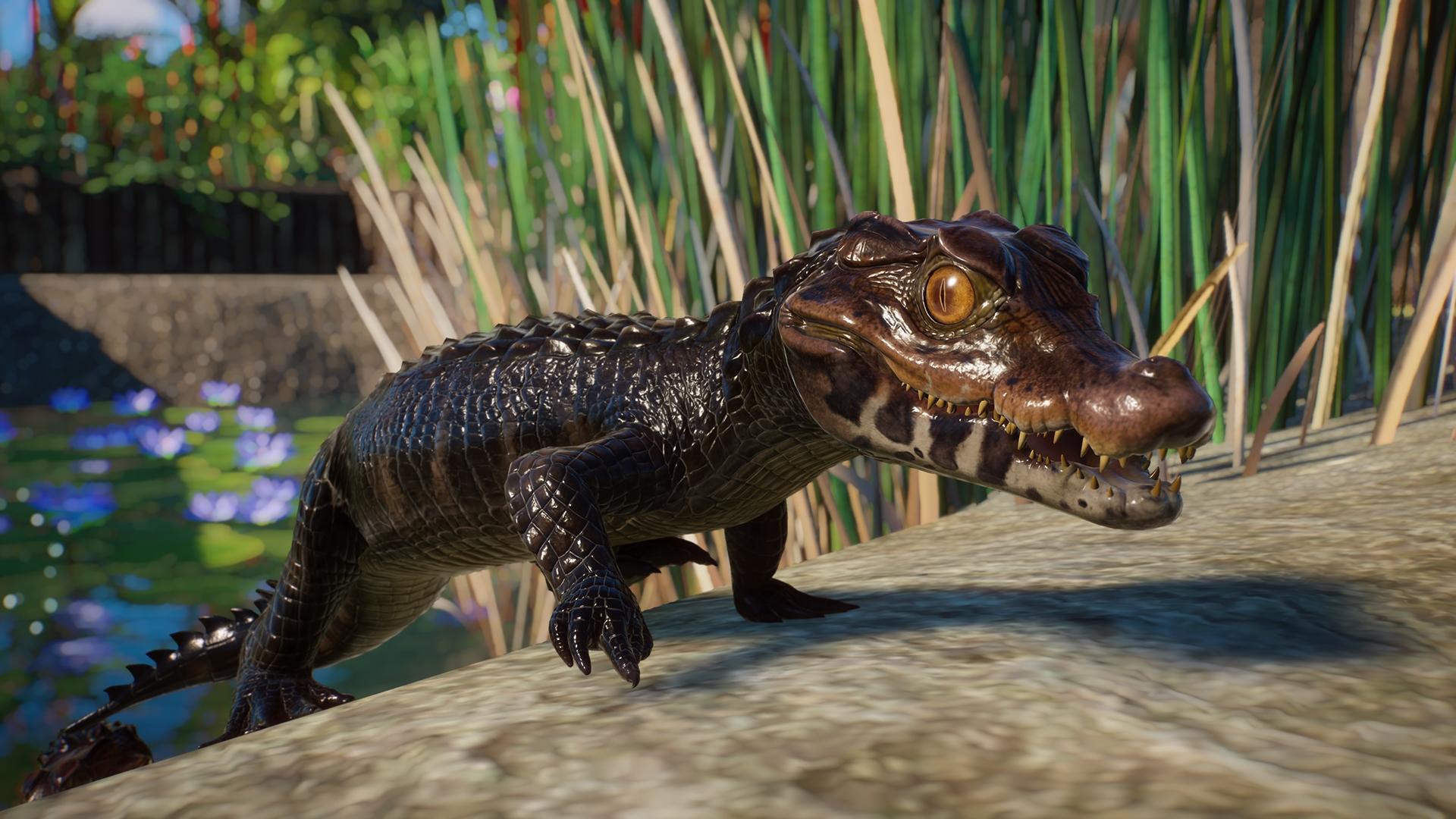 Planet Zoo: Aquatic Pack  screenshot 2