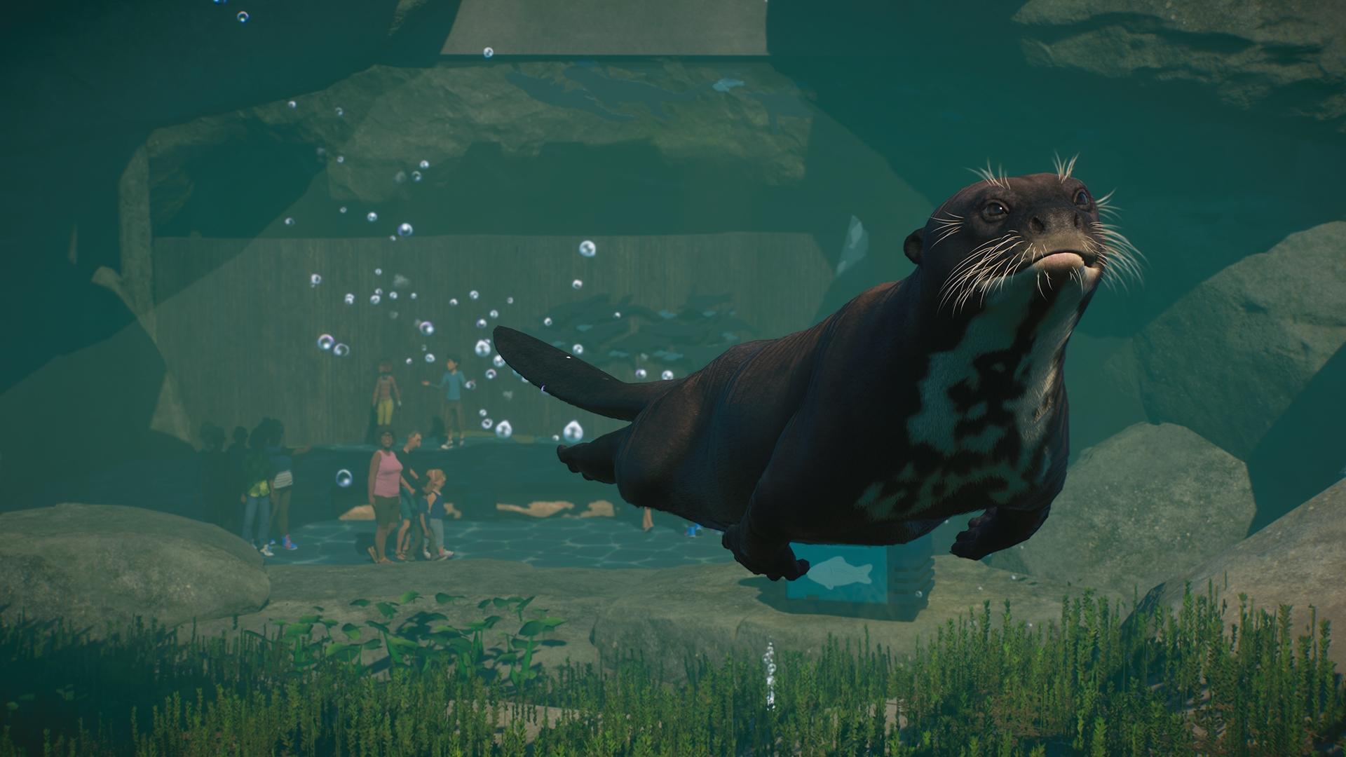 Planet Zoo: Aquatic Pack  screenshot 3