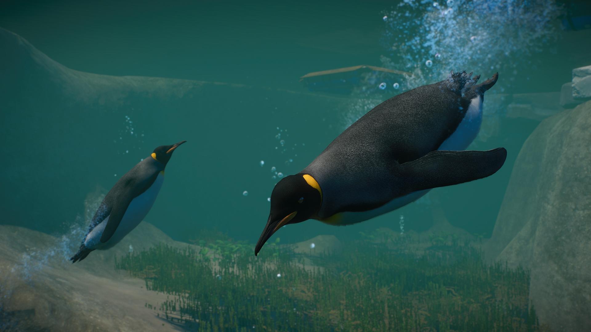 Planet Zoo: Aquatic Pack  screenshot 6