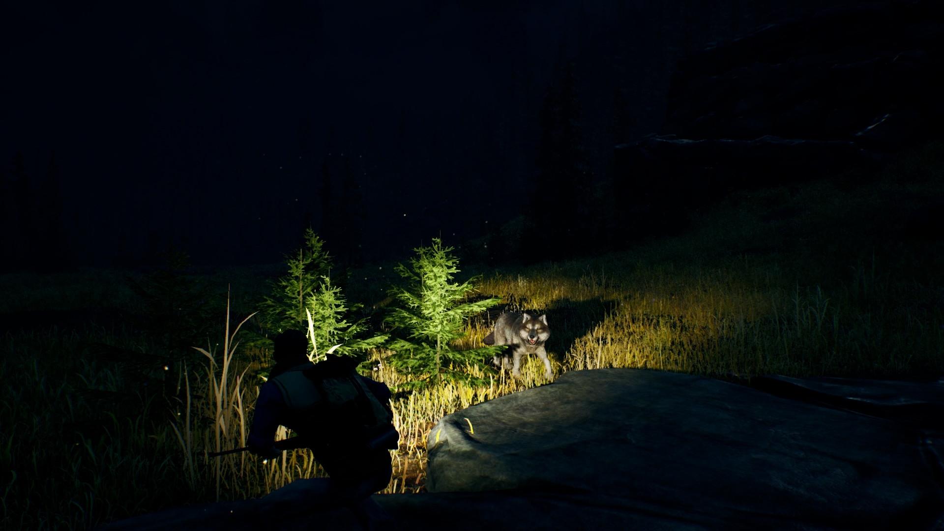 Open Country screenshot 10