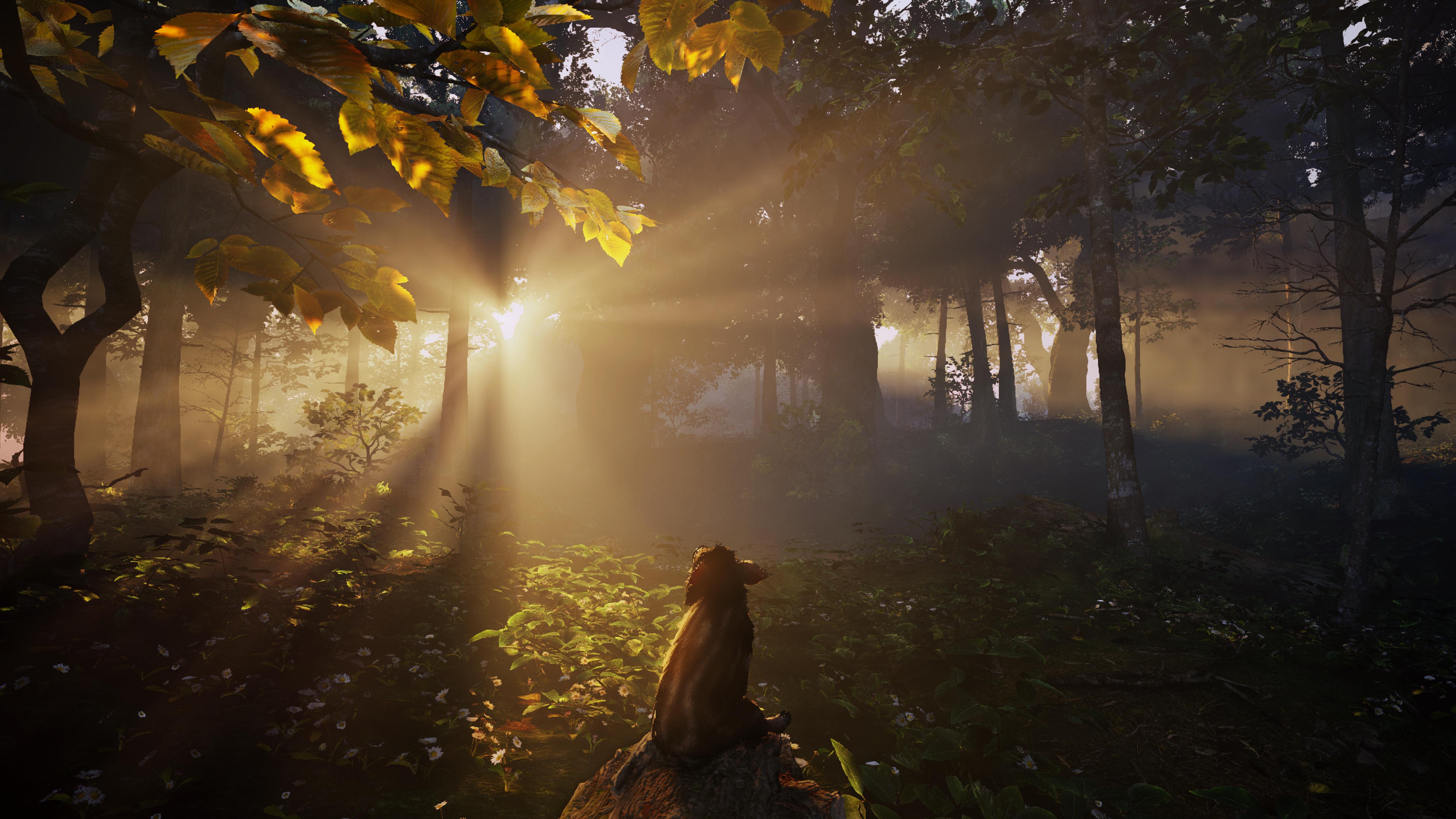 Adorable Adventures screenshot 0