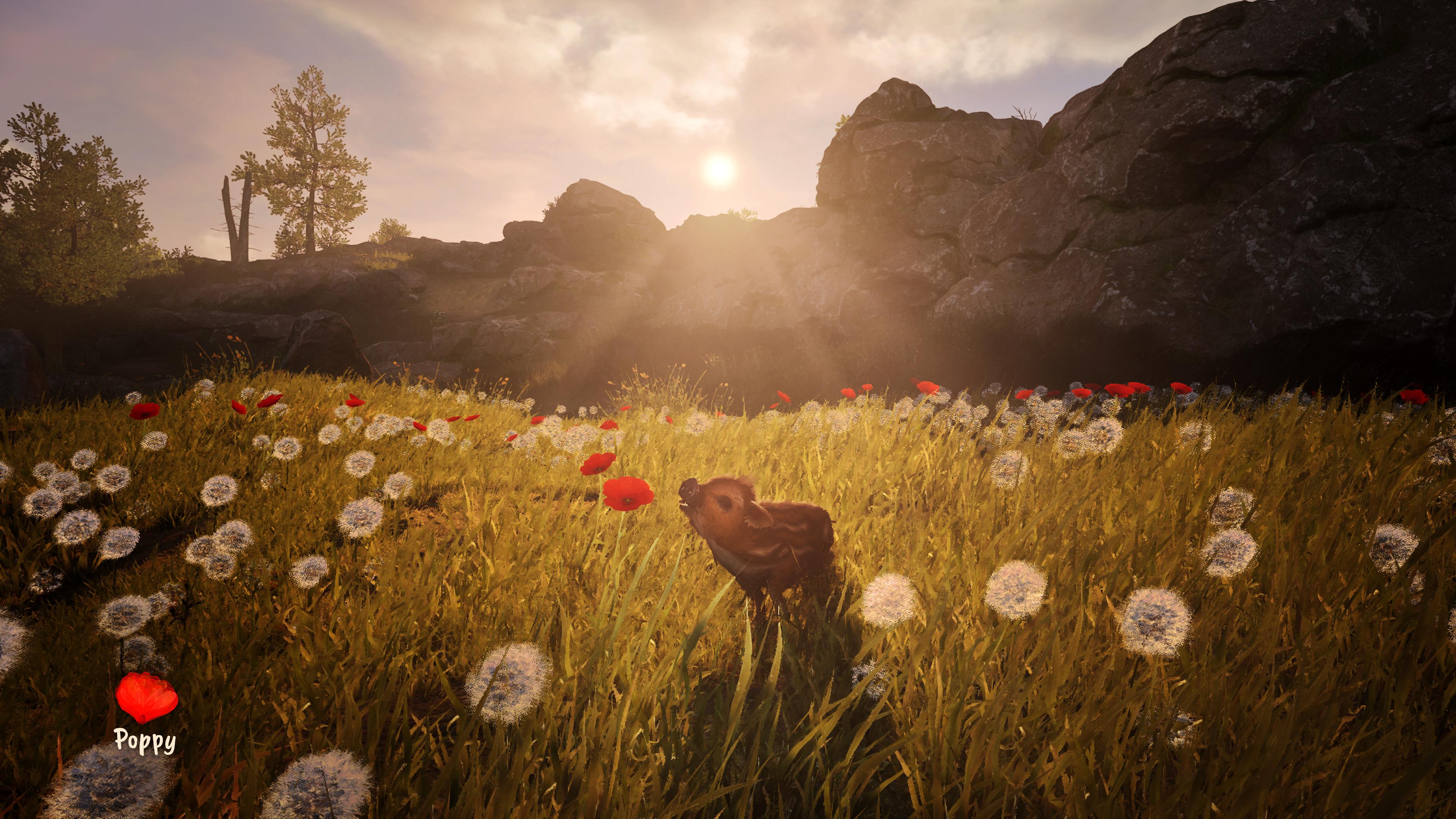 Adorable Adventures screenshot 4