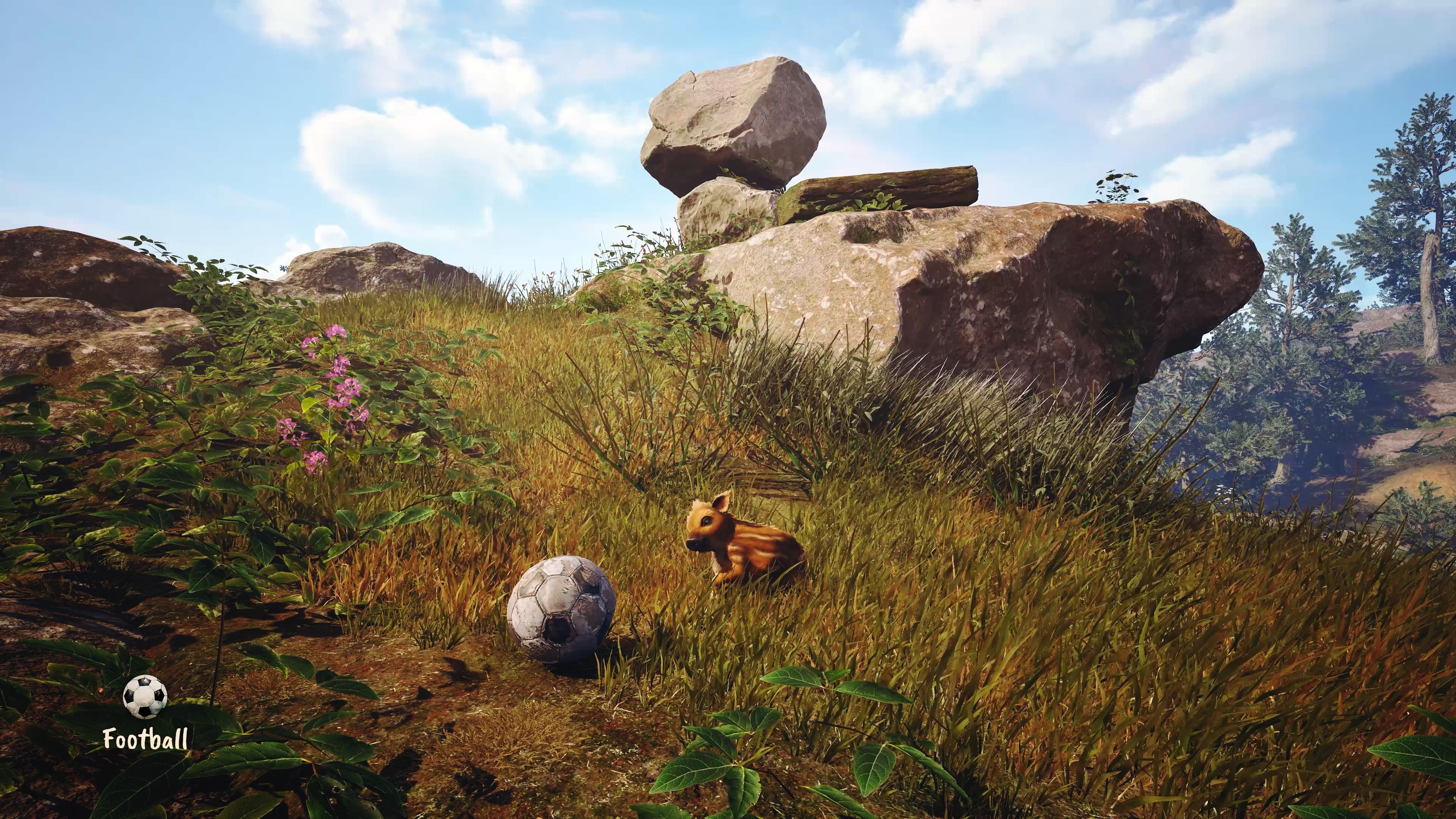 Adorable Adventures screenshot 6