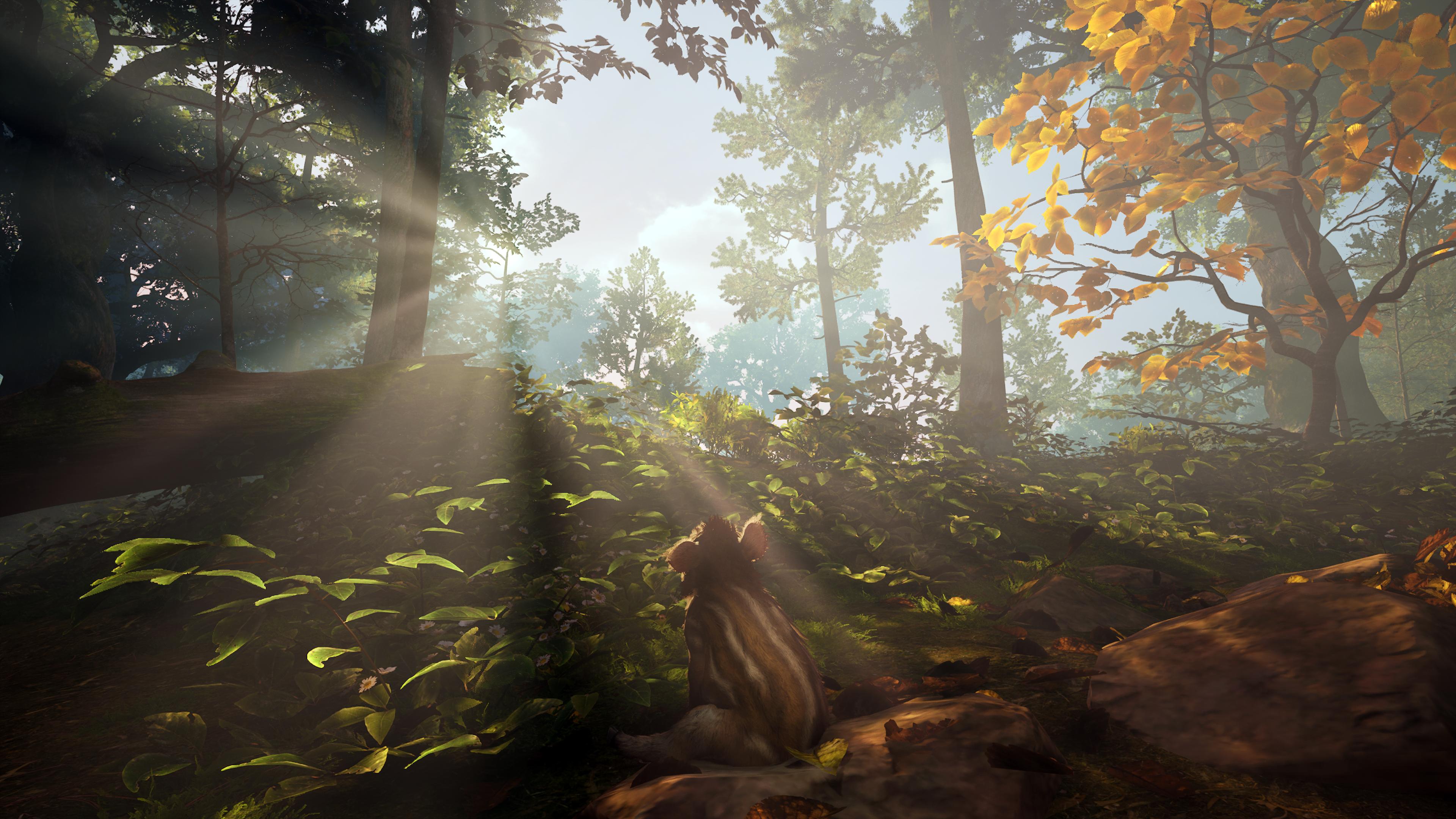 Adorable Adventures screenshot 8