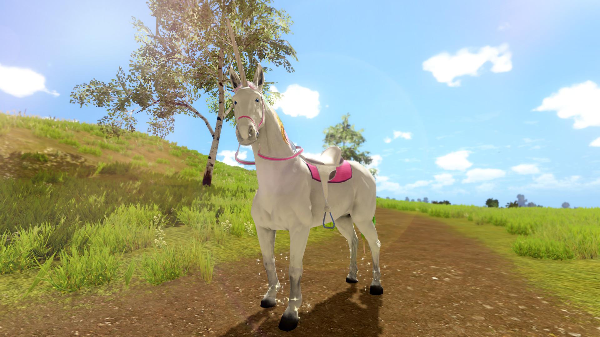 The Unicorn Princess image