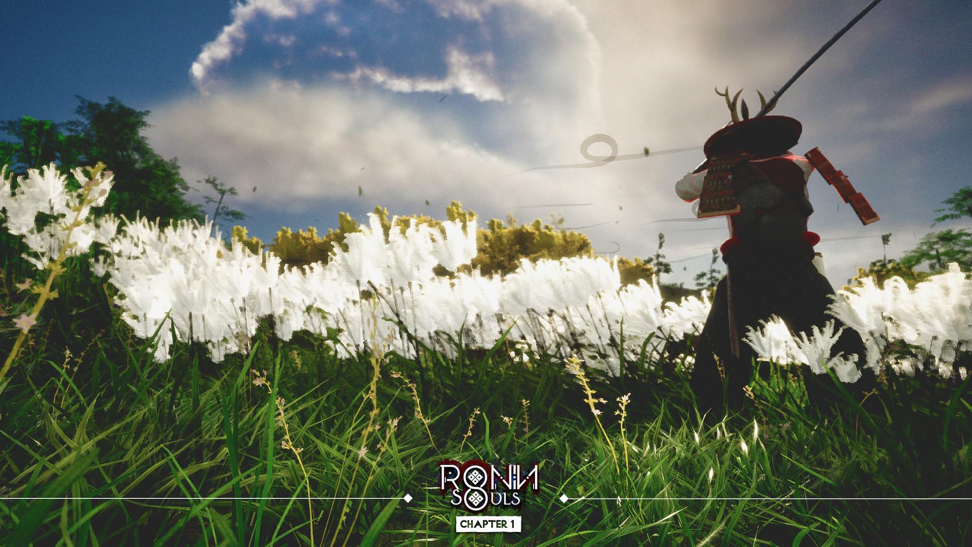 RONIN: Two Souls CHAPTER 1 screenshot 4