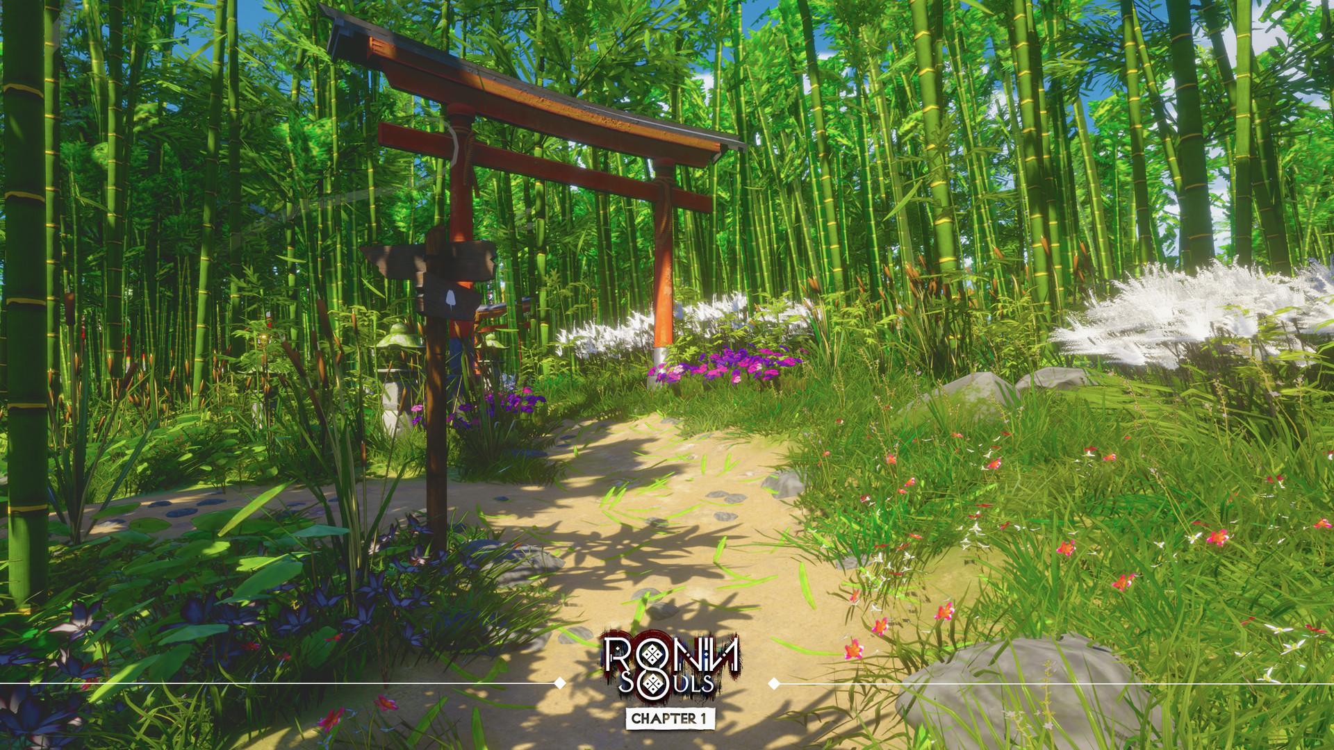 RONIN: Two Souls CHAPTER 1 screenshot 7