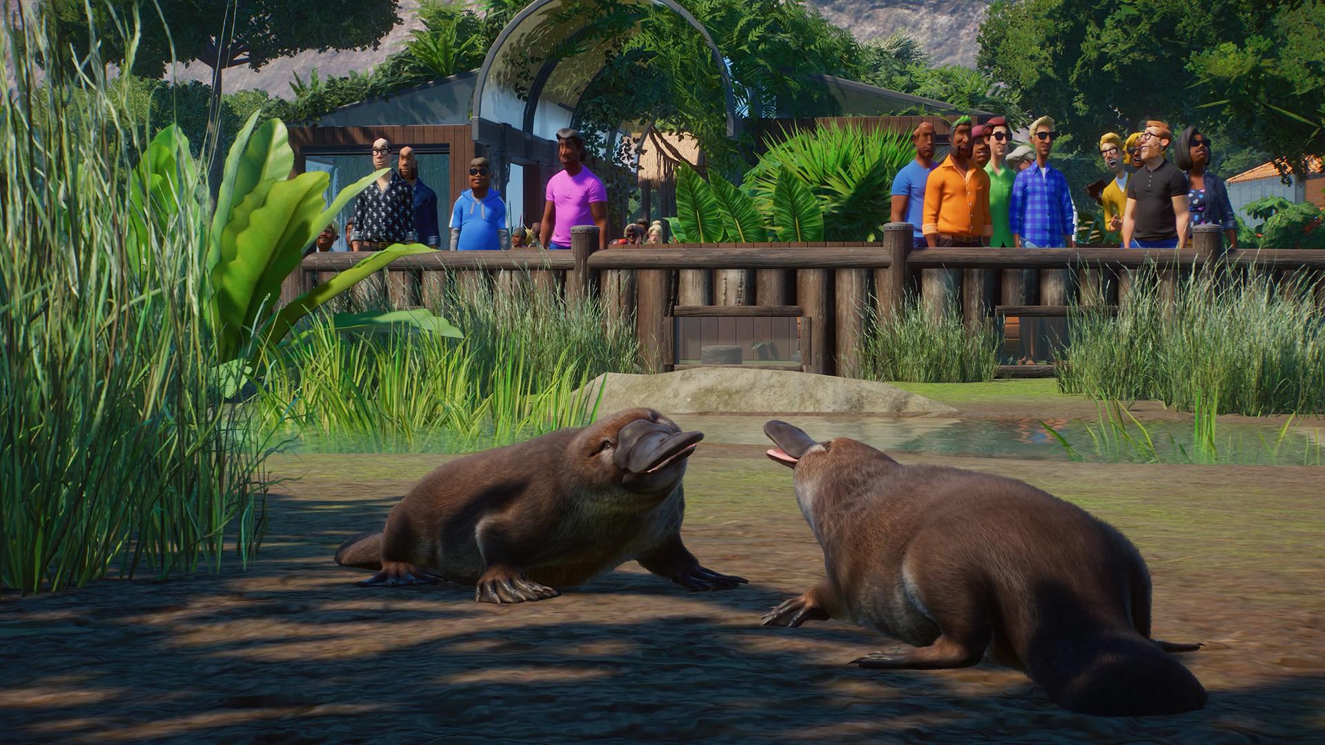 Planet Zoo: Wetlands Animal Pack screenshot 10