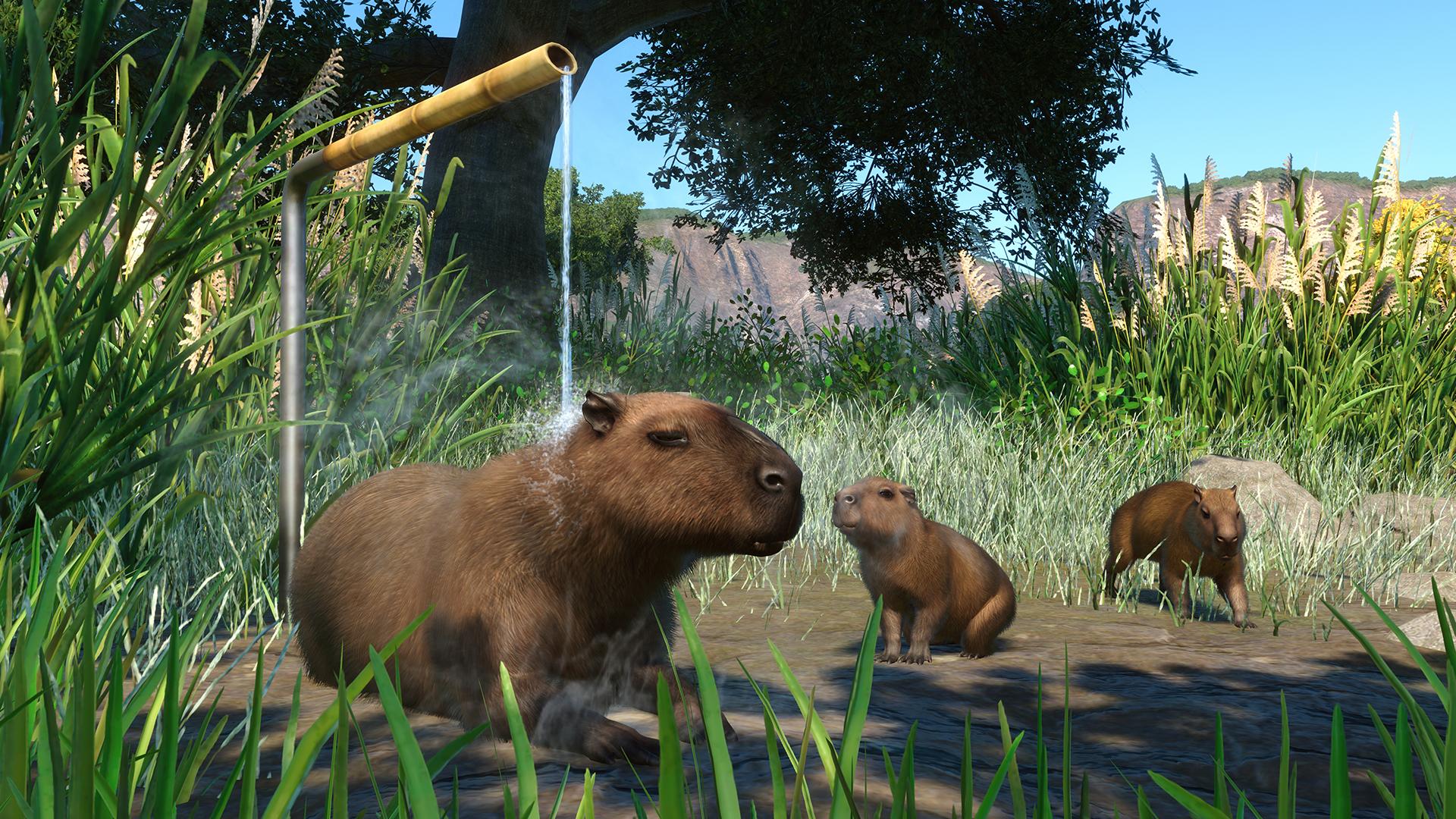 Planet Zoo: Wetlands Animal Pack screenshot 5