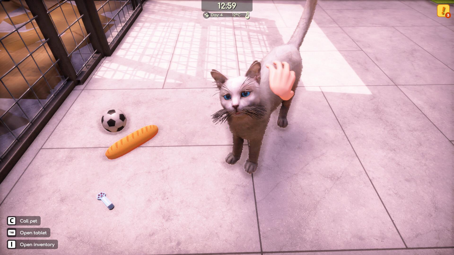 Animal Shelter 2 screenshot 1