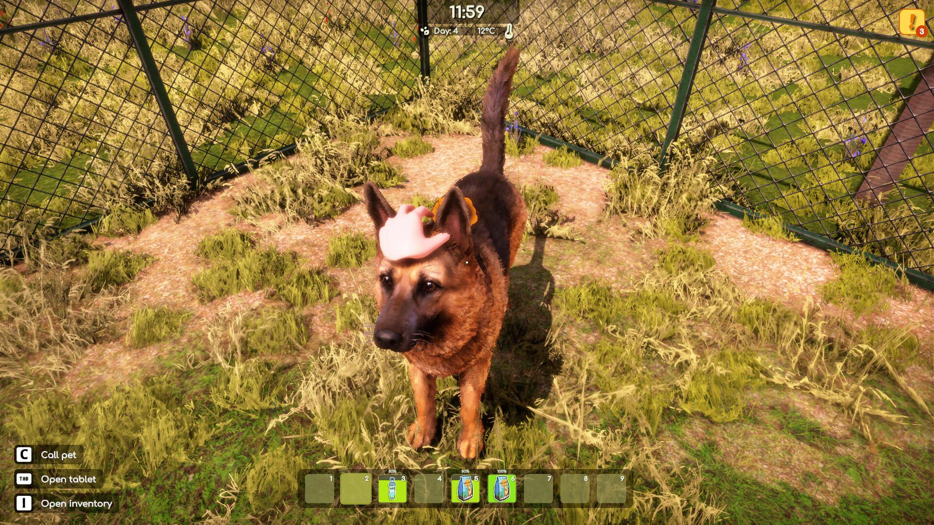 Animal Shelter 2 screenshot 14