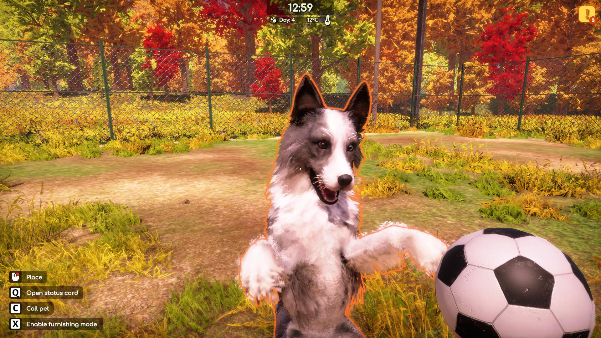 Animal Shelter 2 screenshot 16