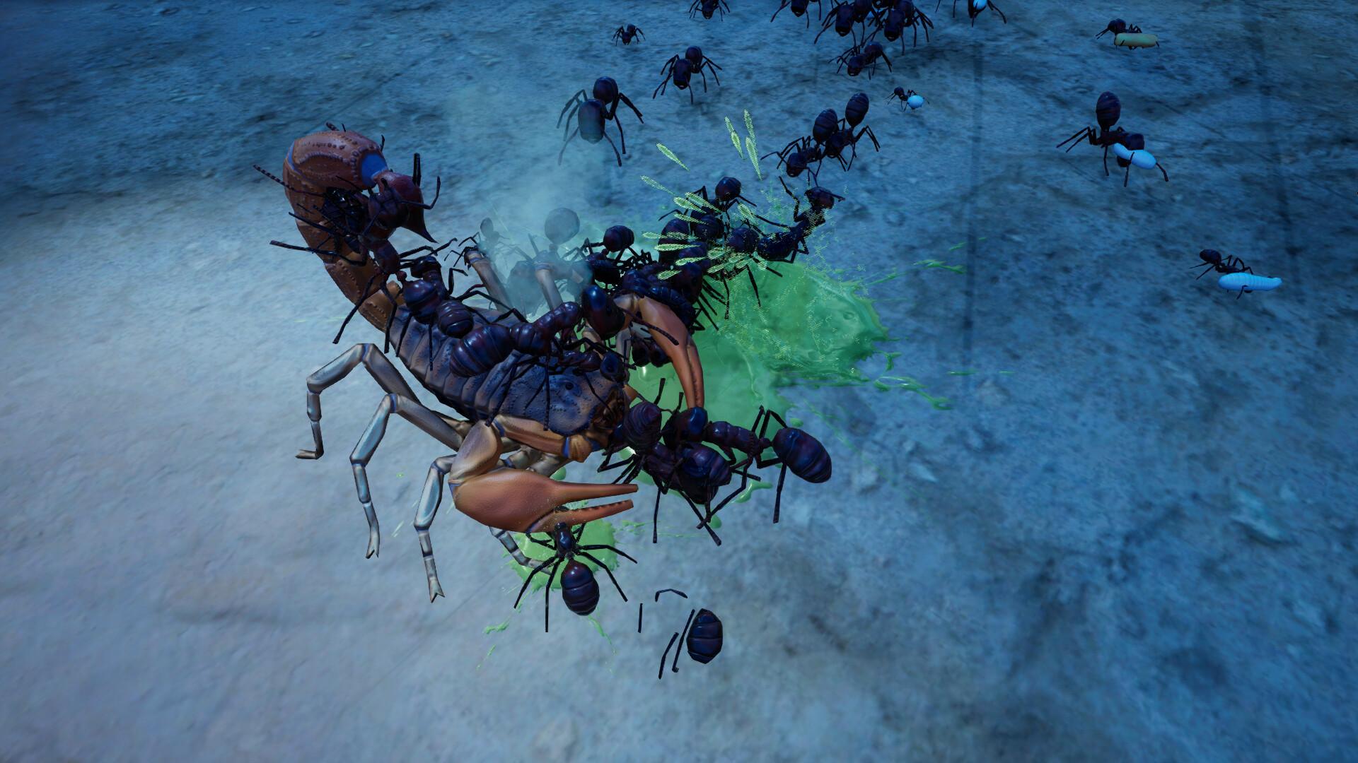 Empires of the Undergrowth - Exploding Ants screenshot 2
