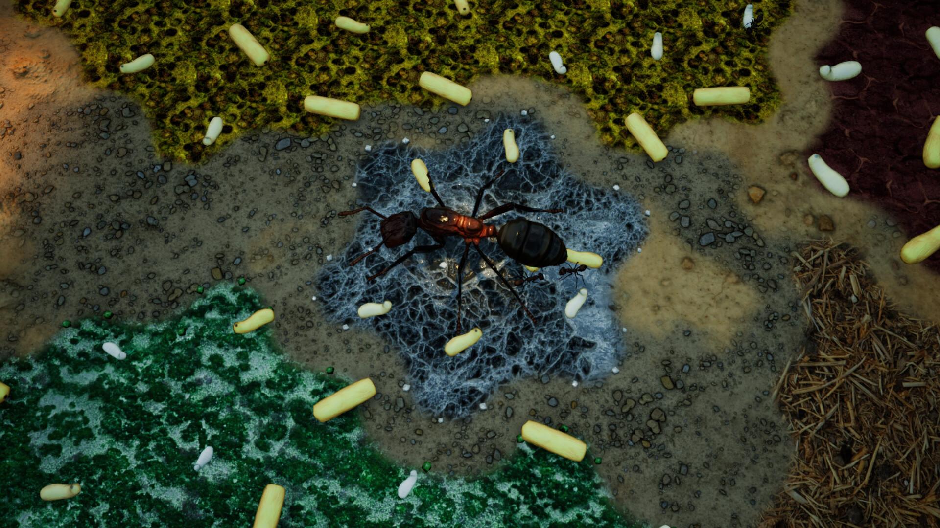 Empires of the Undergrowth - Exploding Ants screenshot 5