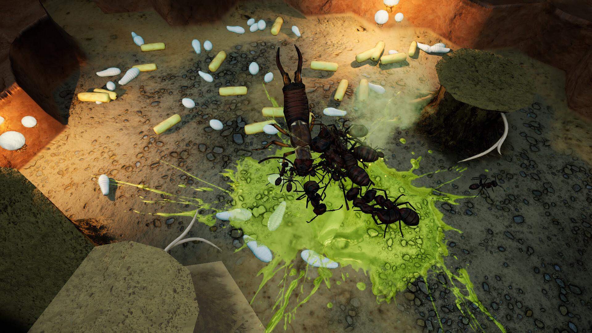 Empires of the Undergrowth - Exploding Ants screenshot 6