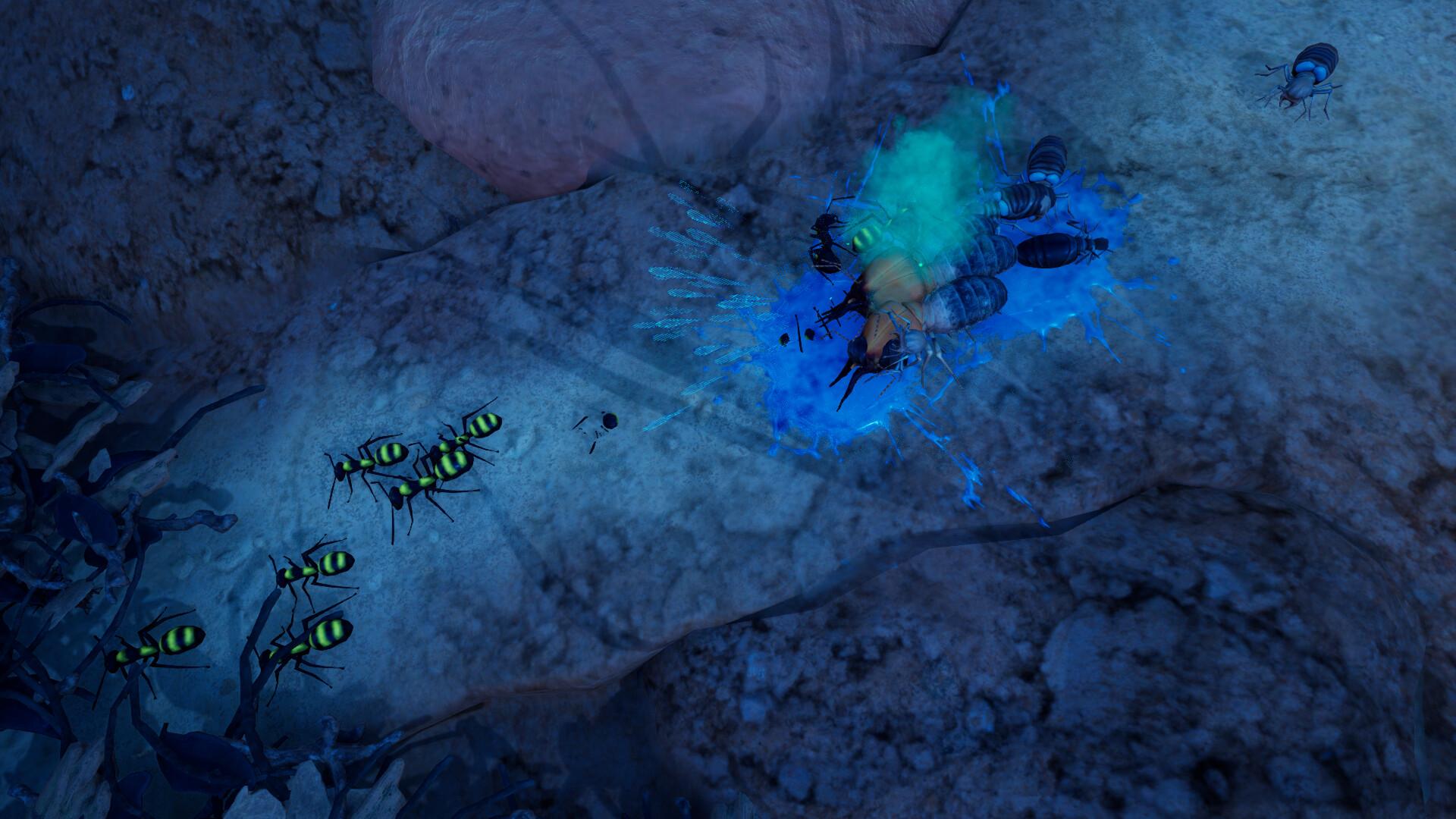 Empires of the Undergrowth - Exploding Ants screenshot 7