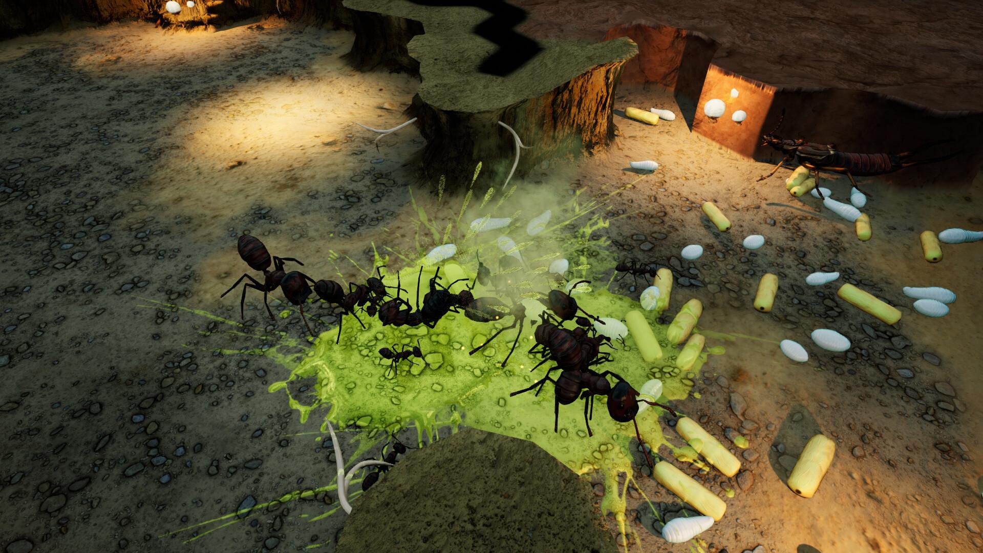 Empires of the Undergrowth - Exploding Ants screenshot 8