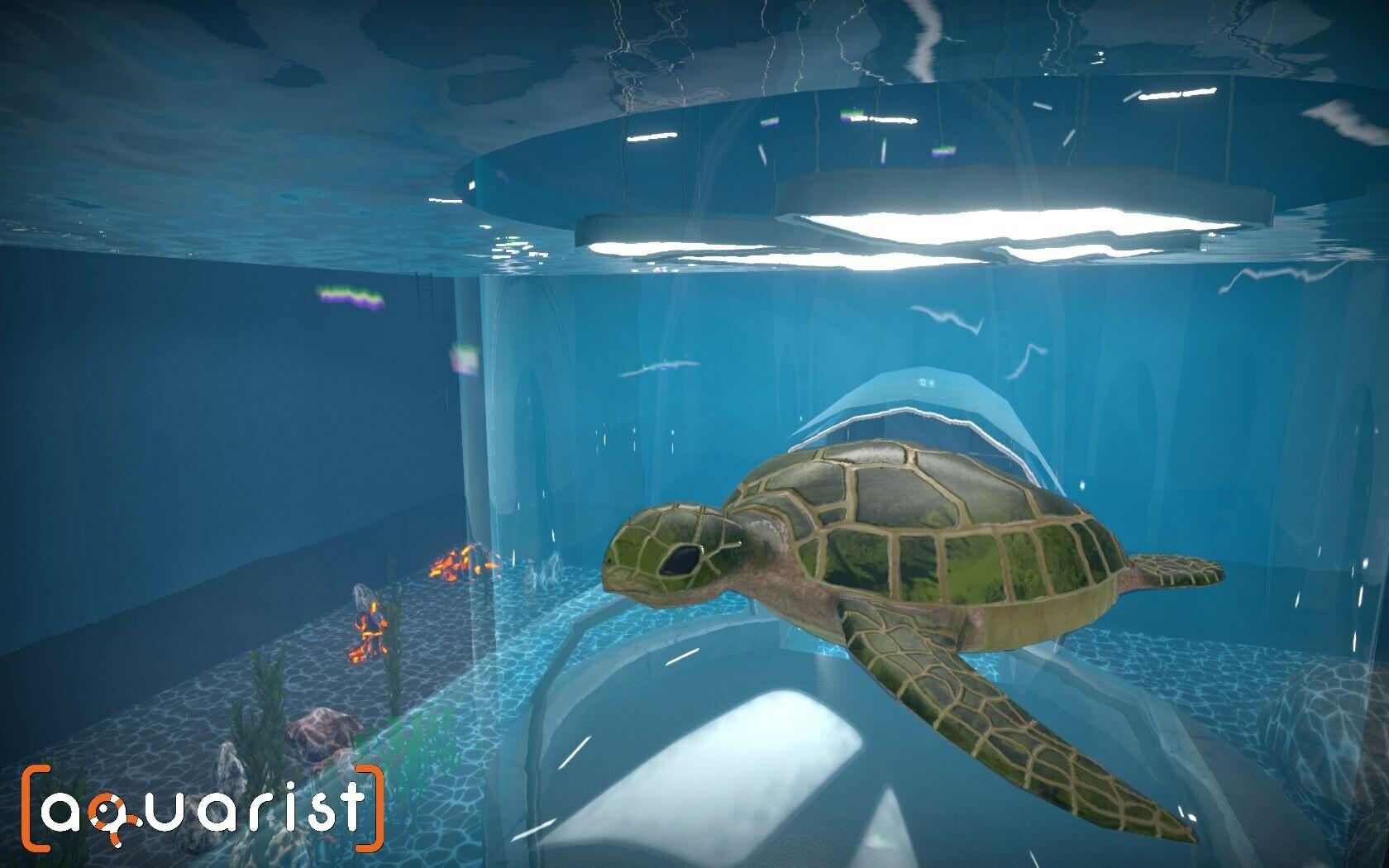 Aquarist screenshot 12