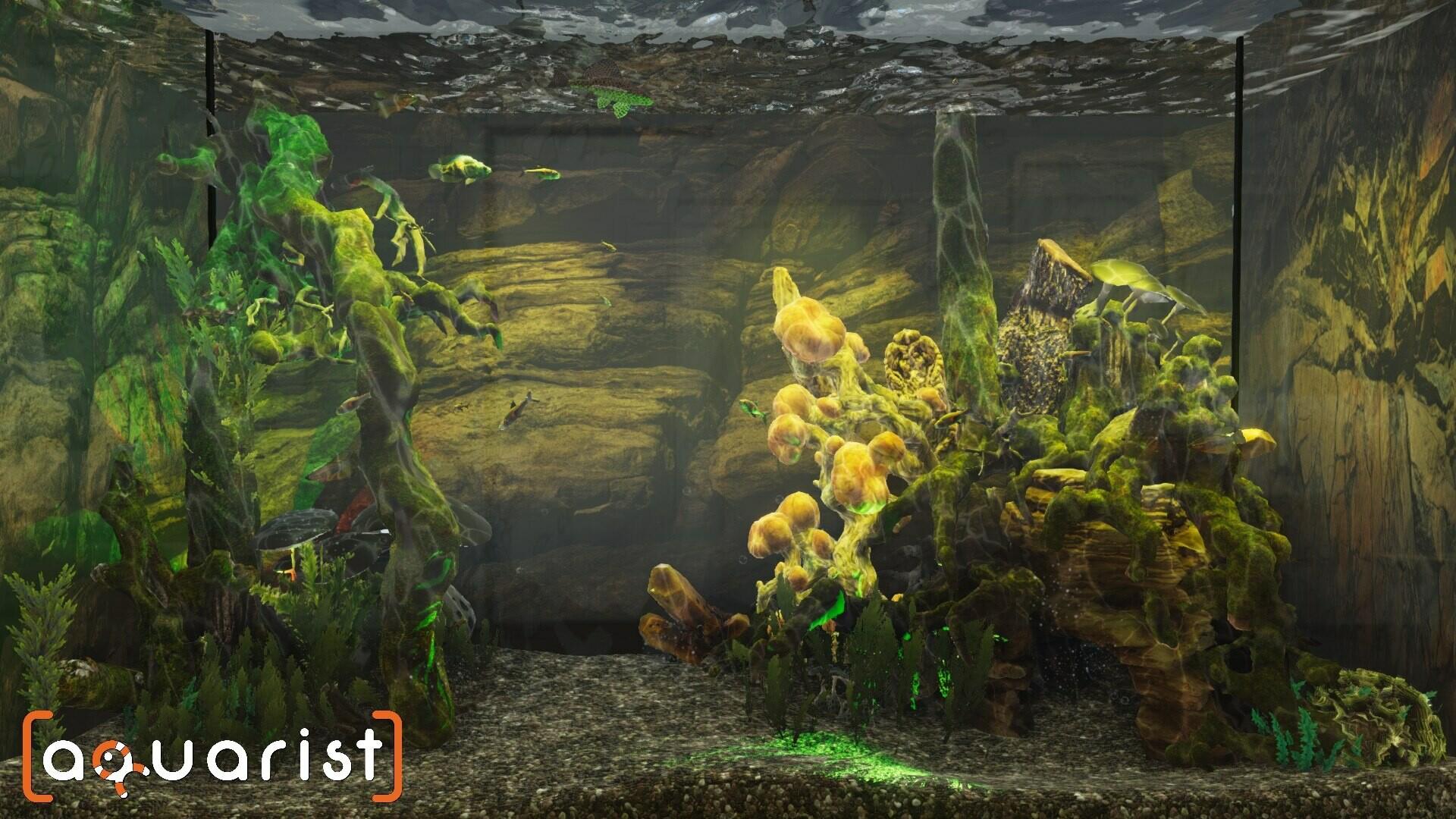 Aquarist screenshot 5