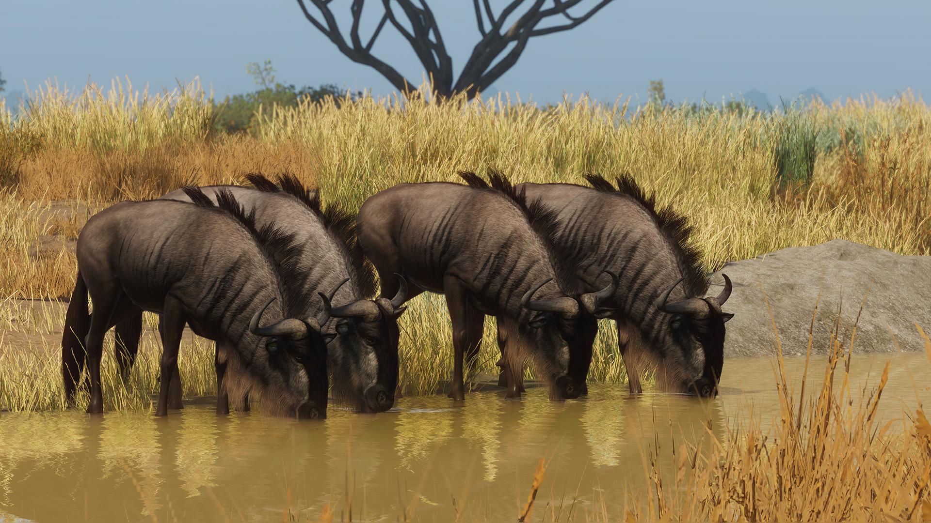 Planet Zoo: Grasslands Animal Pack screenshot 0