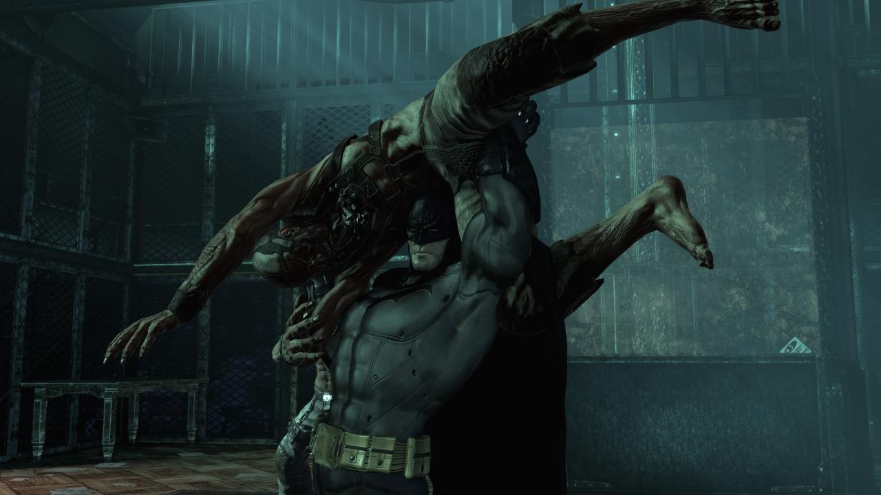 Batman: Arkham Asylum Game of the Year Edition screenshot 0
