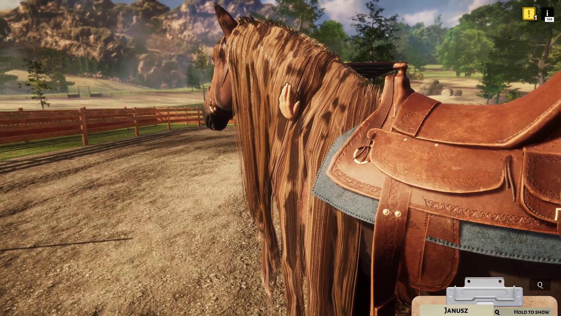 Animal Shelter - Horse Shelter DLC screenshot 0