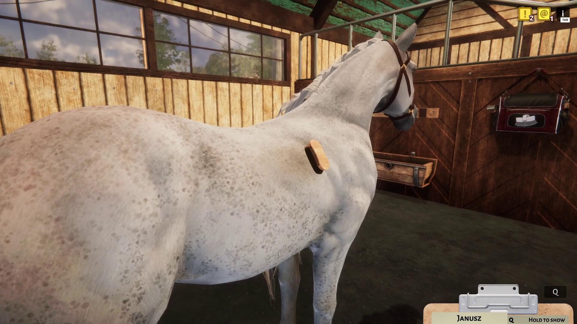 Animal Shelter - Horse Shelter DLC screenshot 11