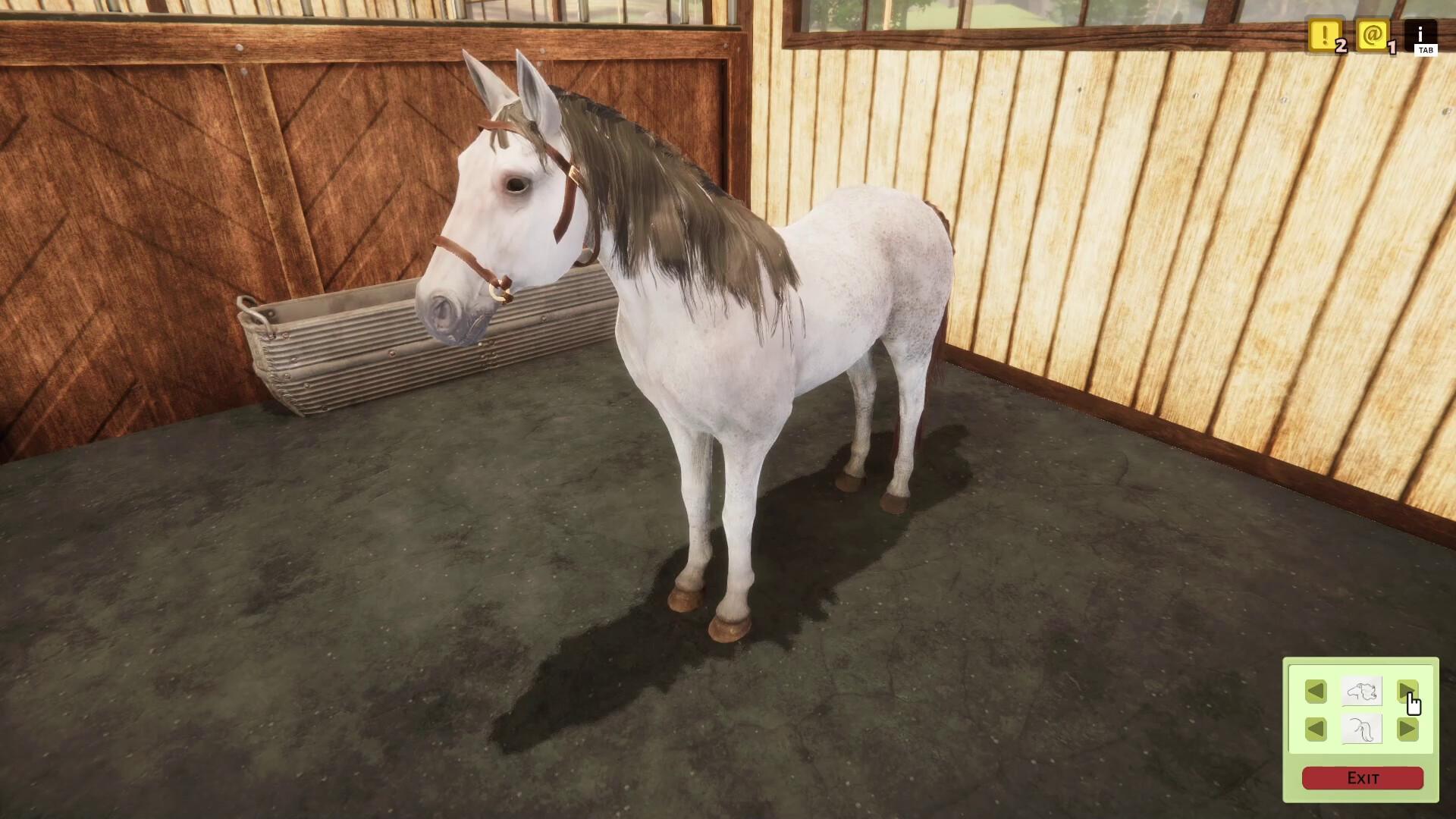 Animal Shelter - Horse Shelter DLC screenshot 12