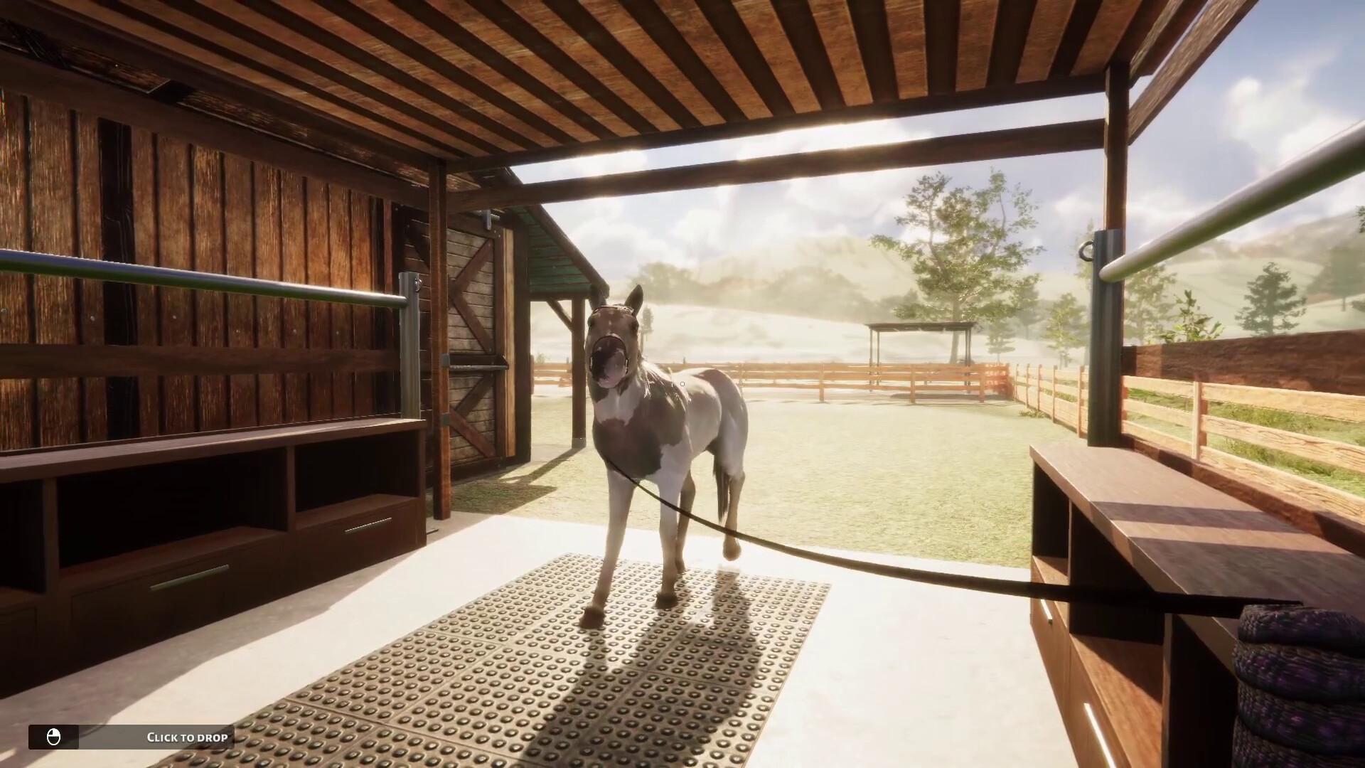 Animal Shelter - Horse Shelter DLC screenshot 4