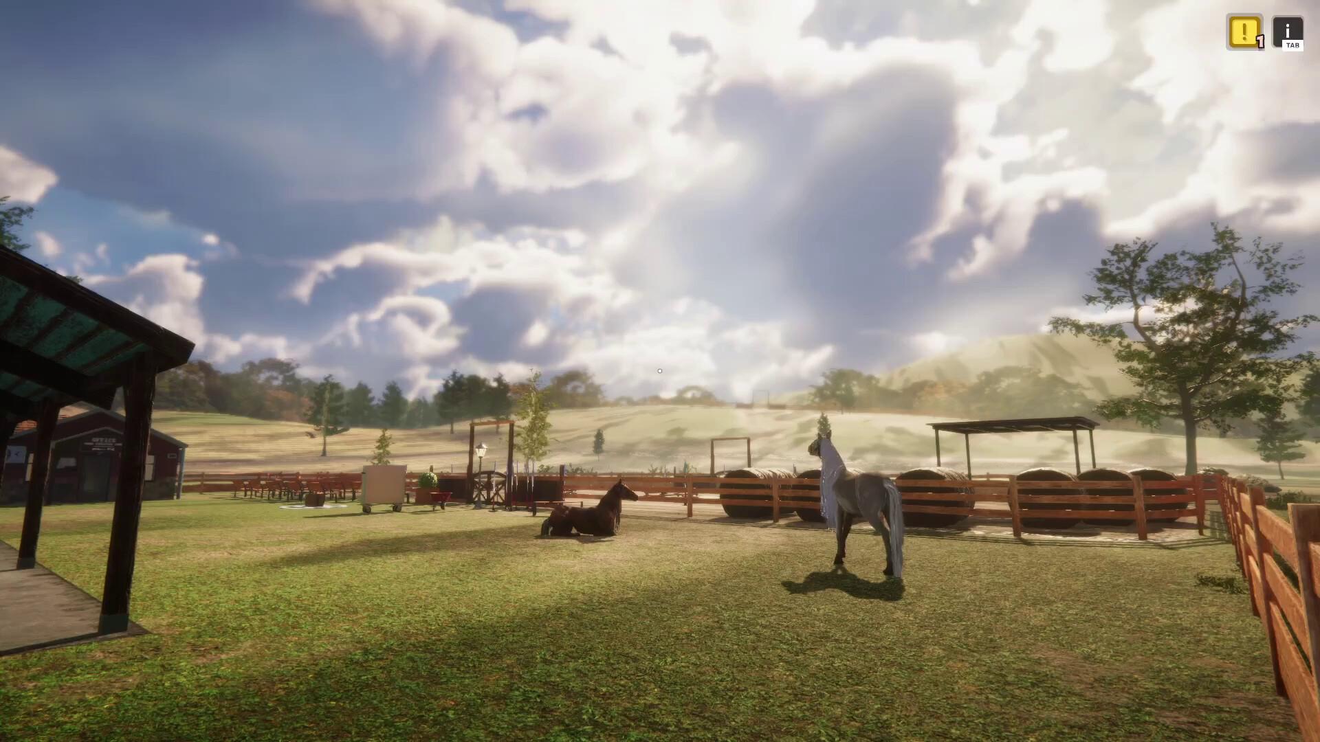 Animal Shelter - Horse Shelter DLC screenshot 8