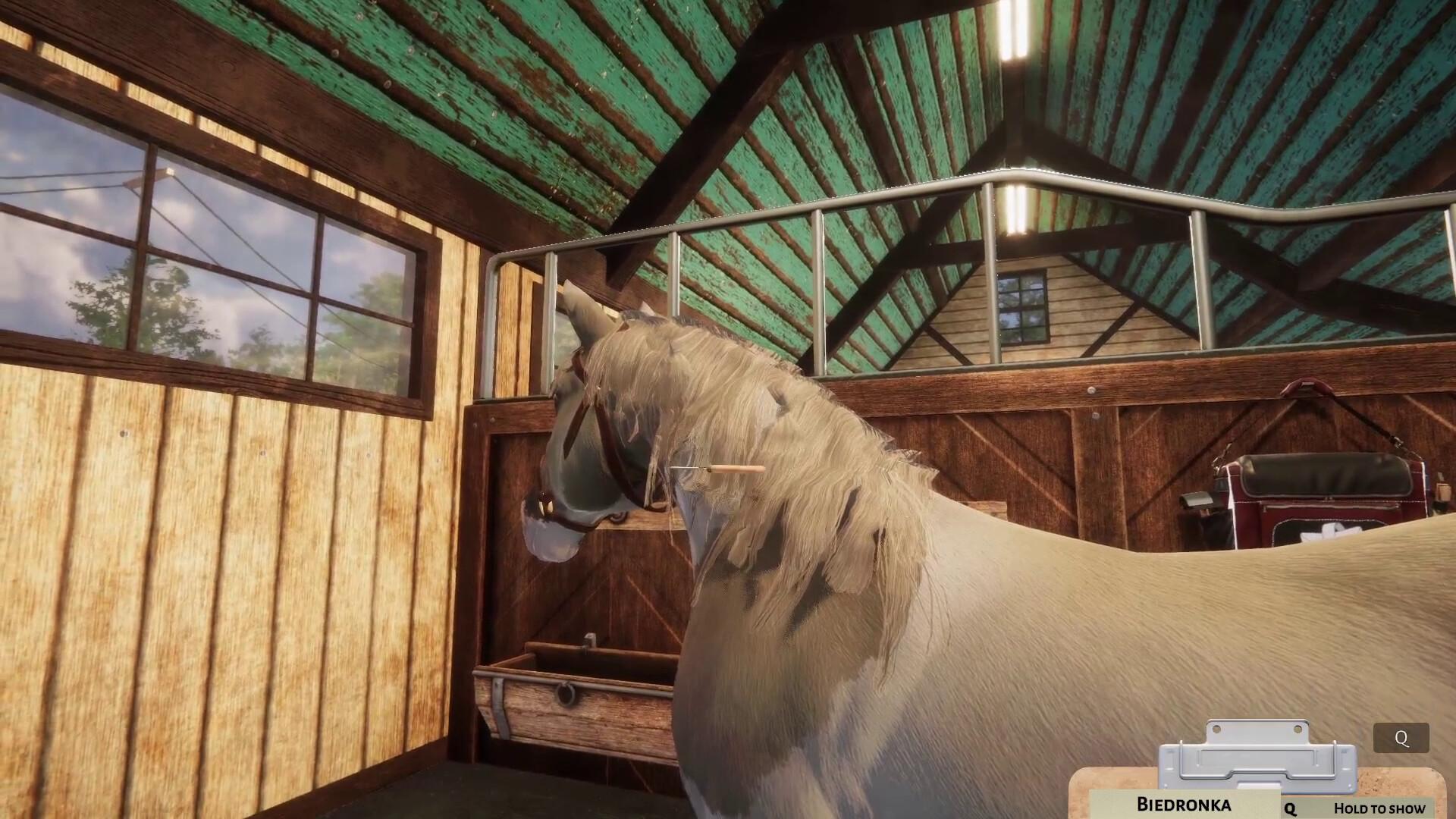 Animal Shelter - Horse Shelter DLC screenshot 9