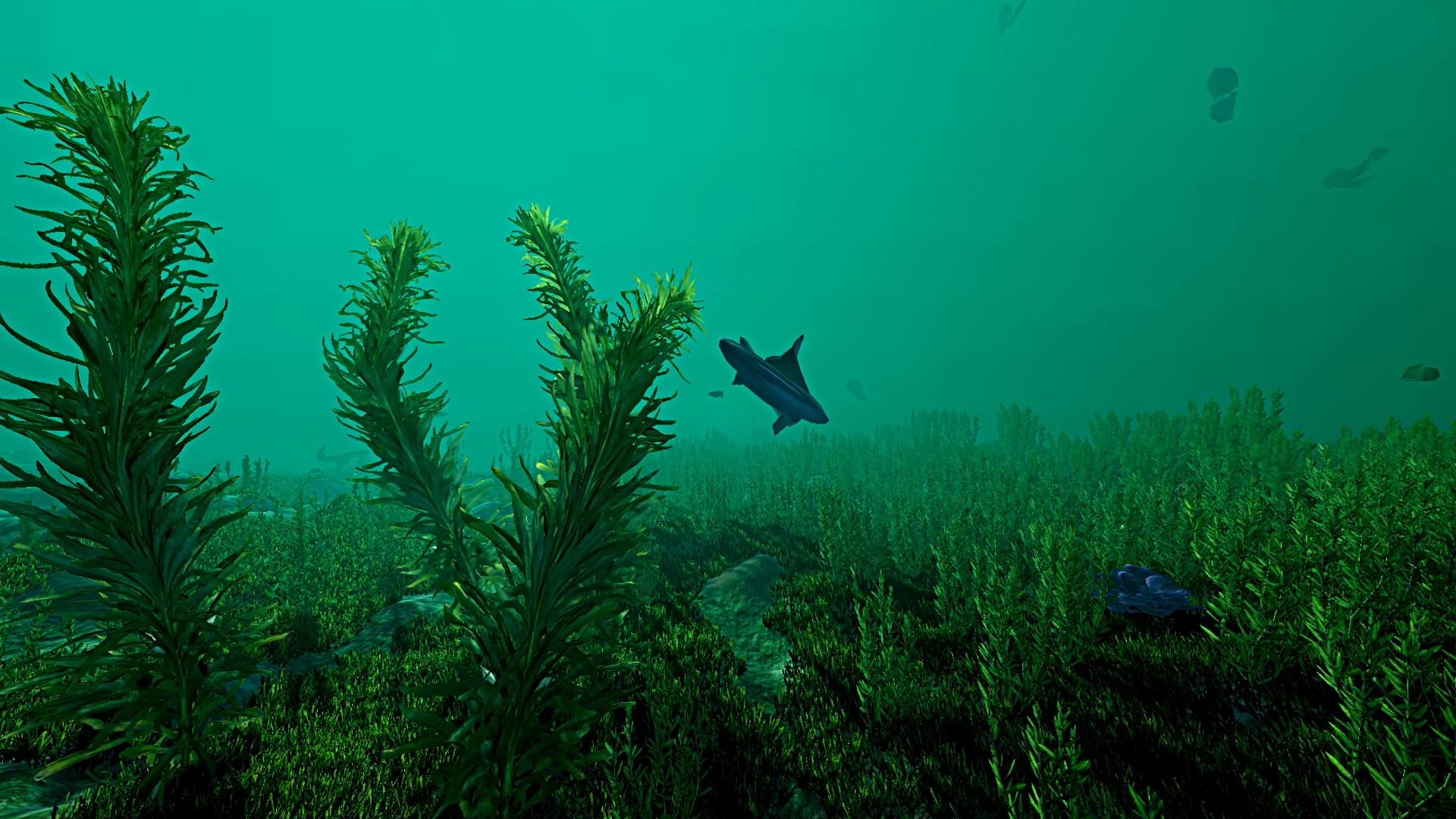 Ecosystem screenshot 10