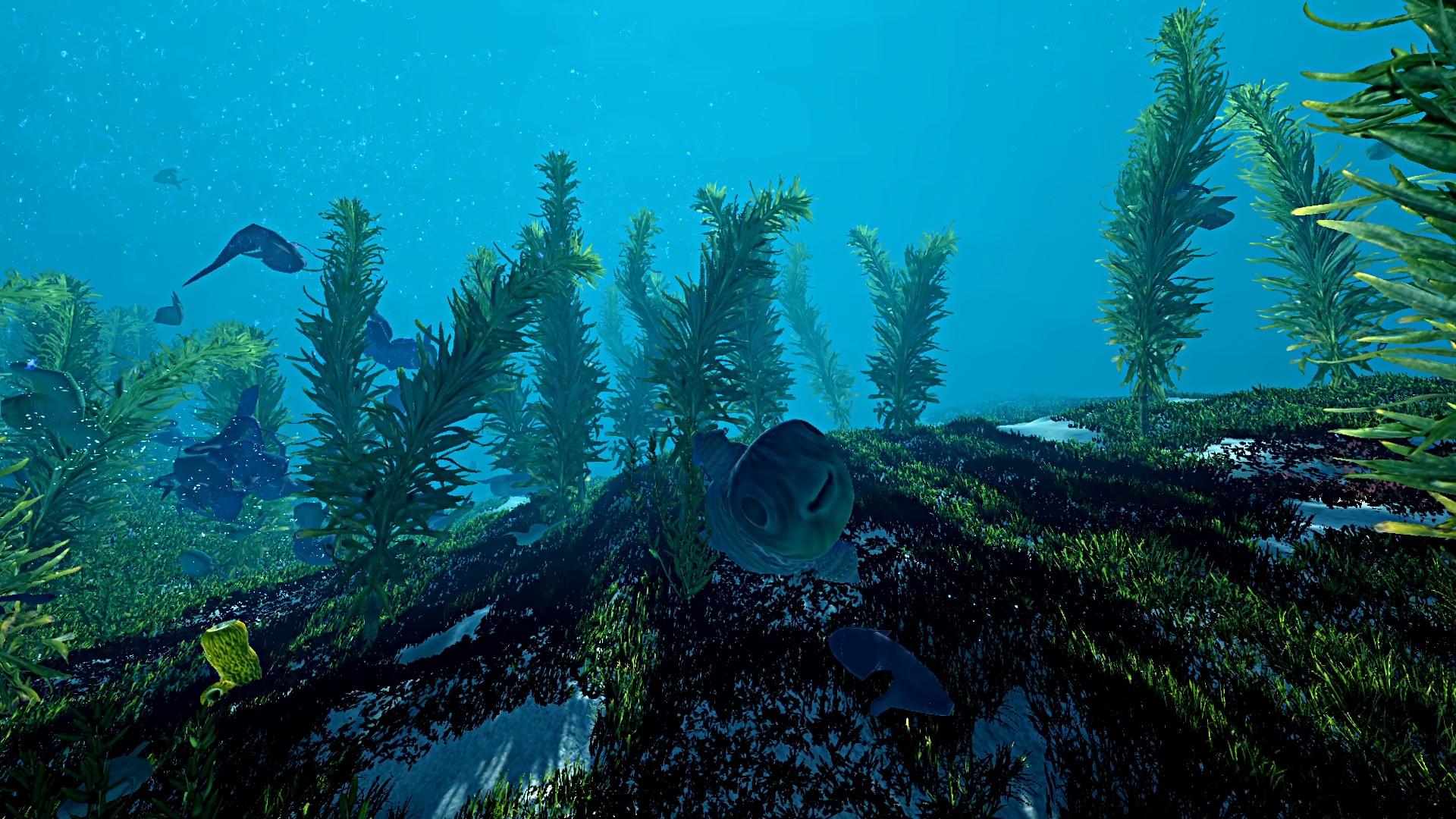 Ecosystem screenshot 12