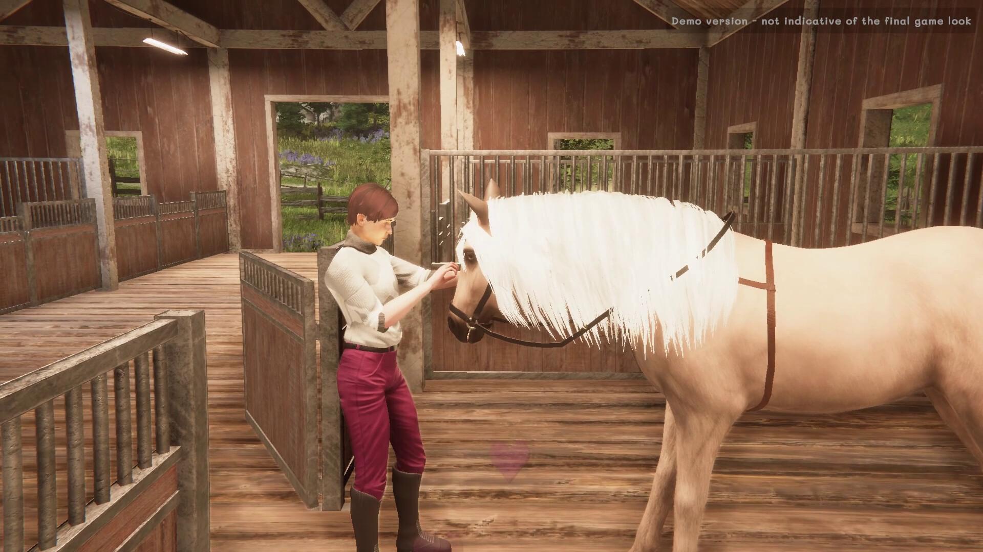 My Horse: Bonded Spirits screenshot 9