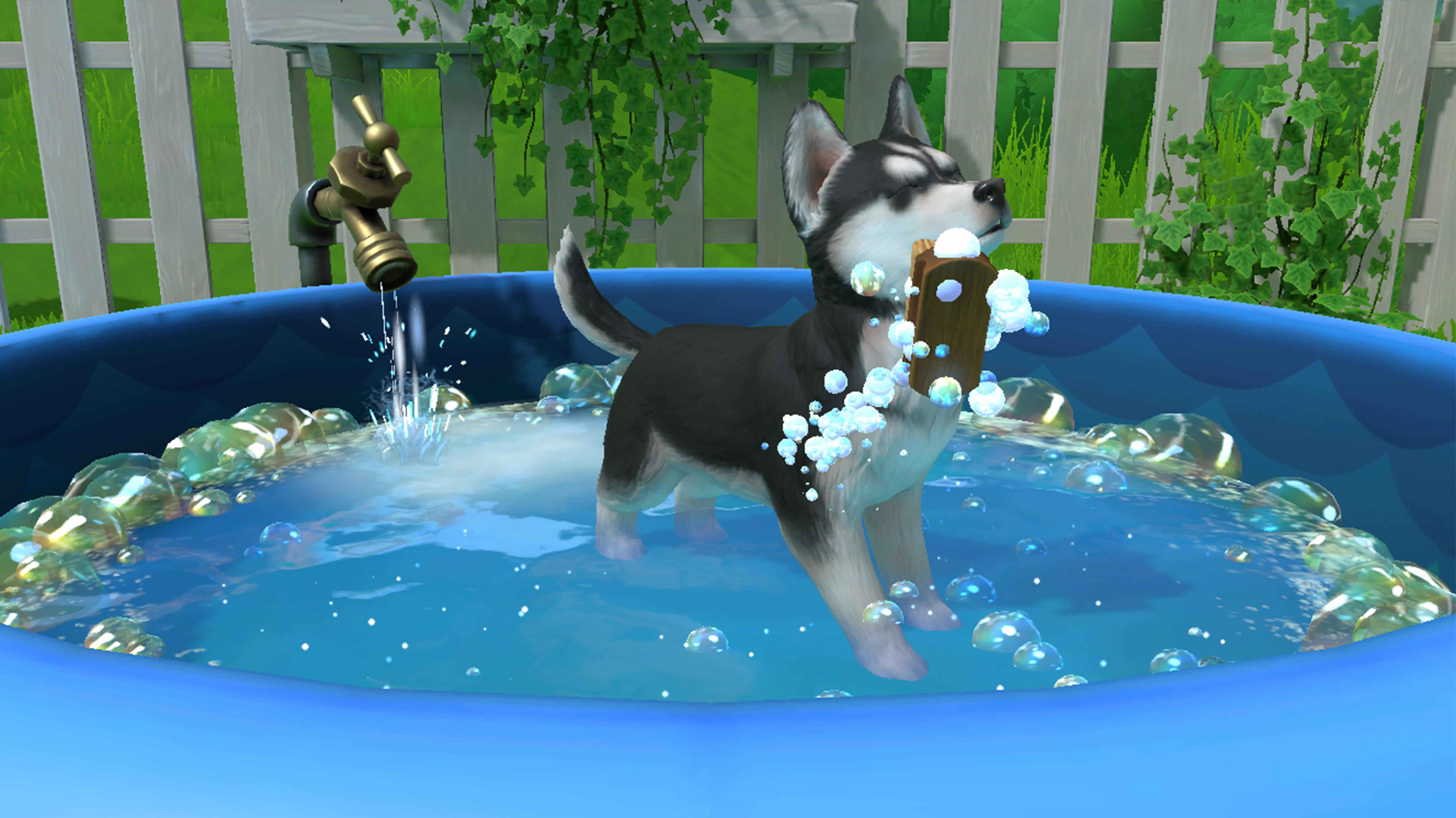 Little Friends: Puppy Island screenshot 1