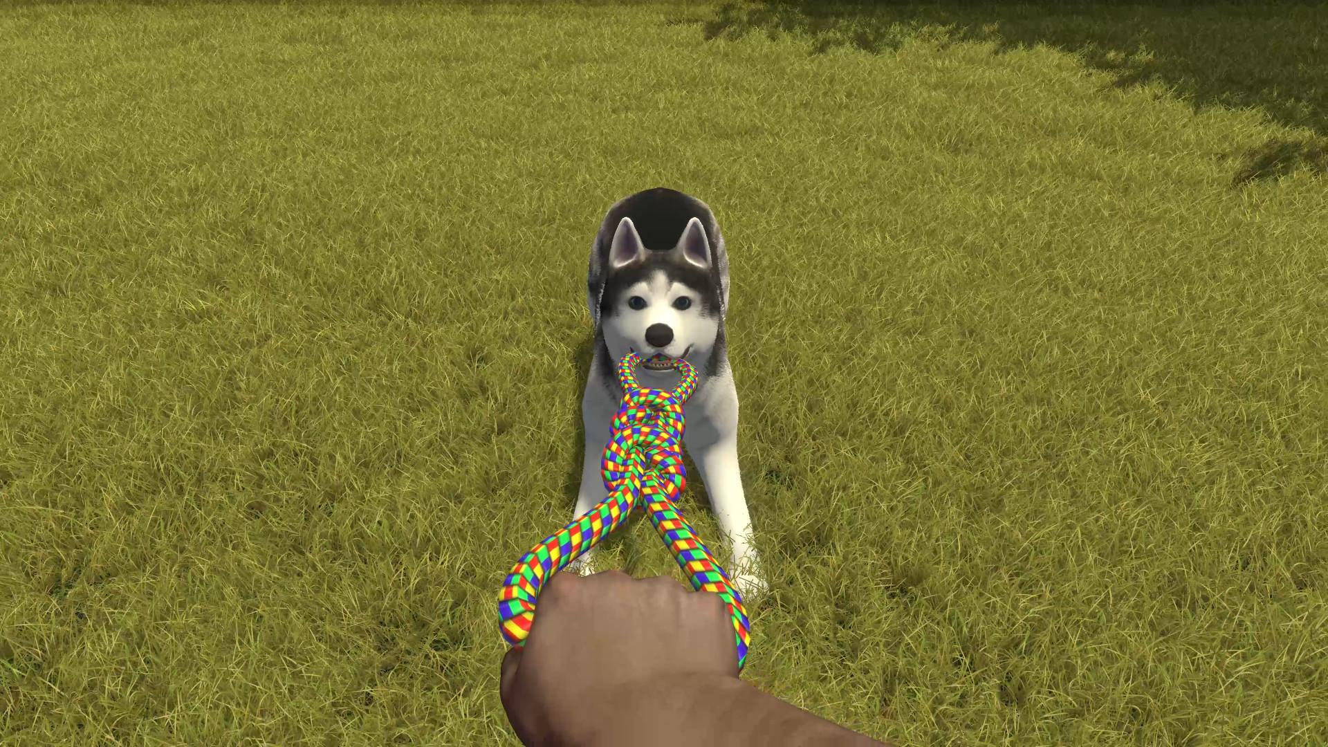 House Flipper Pets DLC screenshot 6