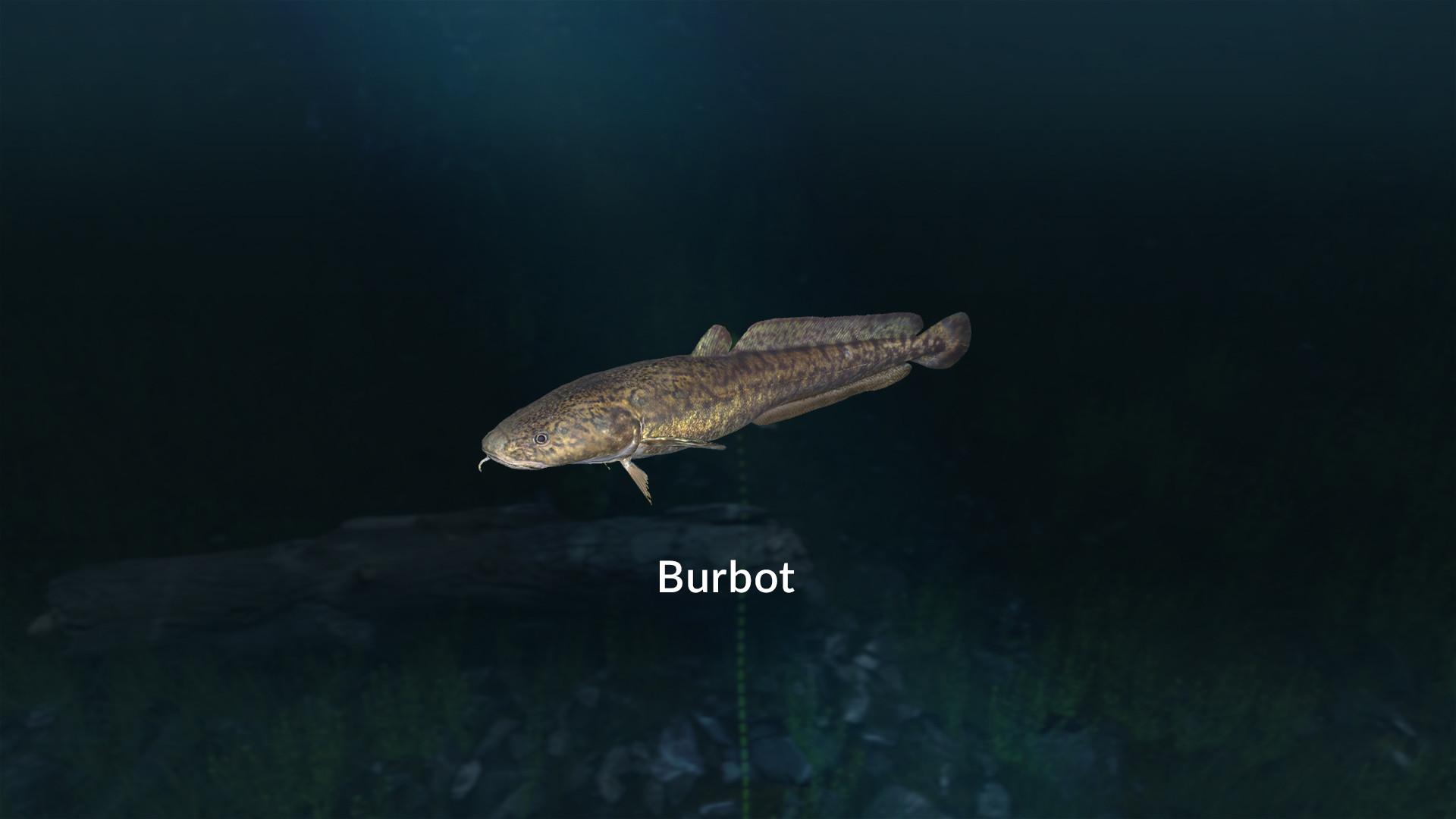 Ultimate Fishing Simulator - New Fish Species screenshot 1