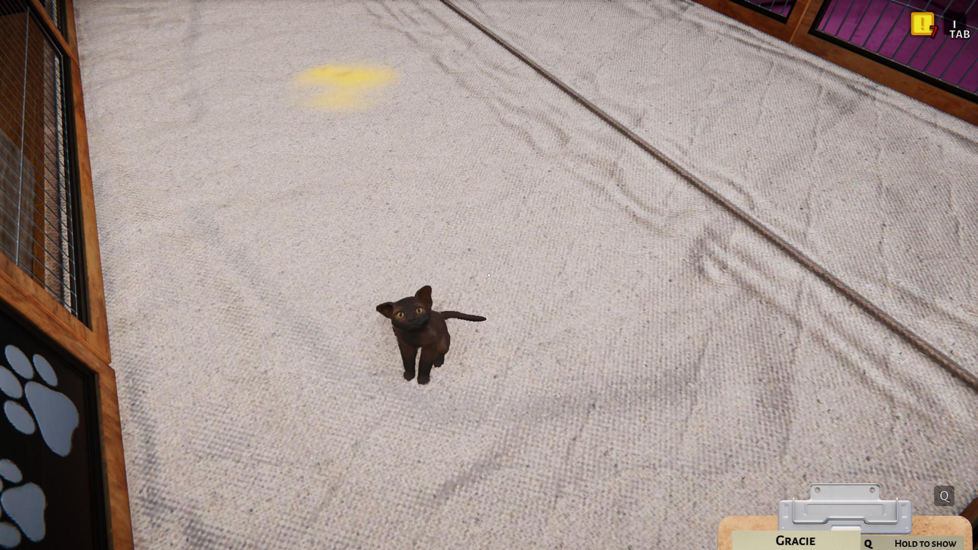 Animal Shelter - Puppies & Kittens DLC screenshot 15