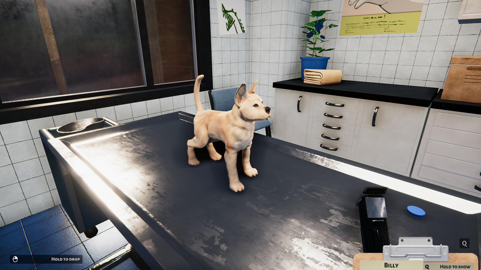 Animal Shelter - Puppies & Kittens DLC screenshot 8