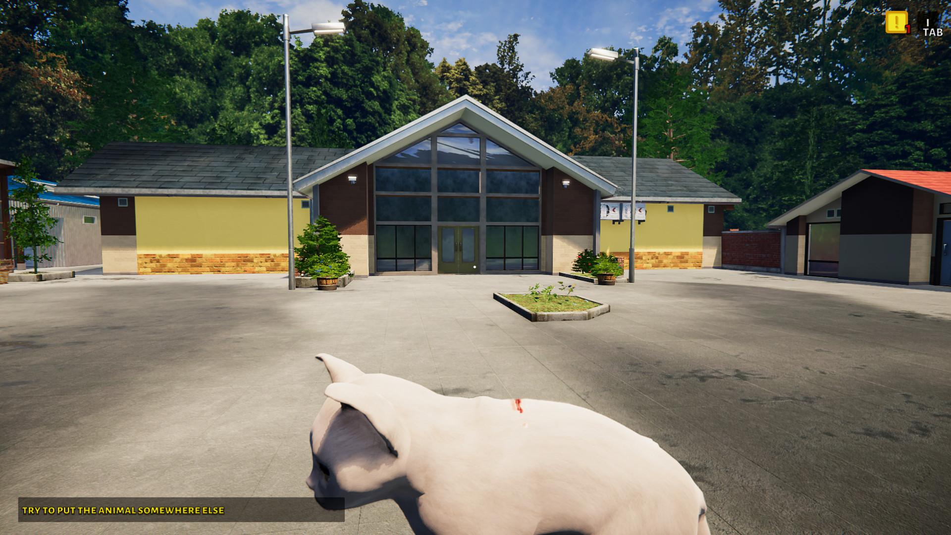 Animal Shelter - Puppies & Kittens DLC screenshot 9