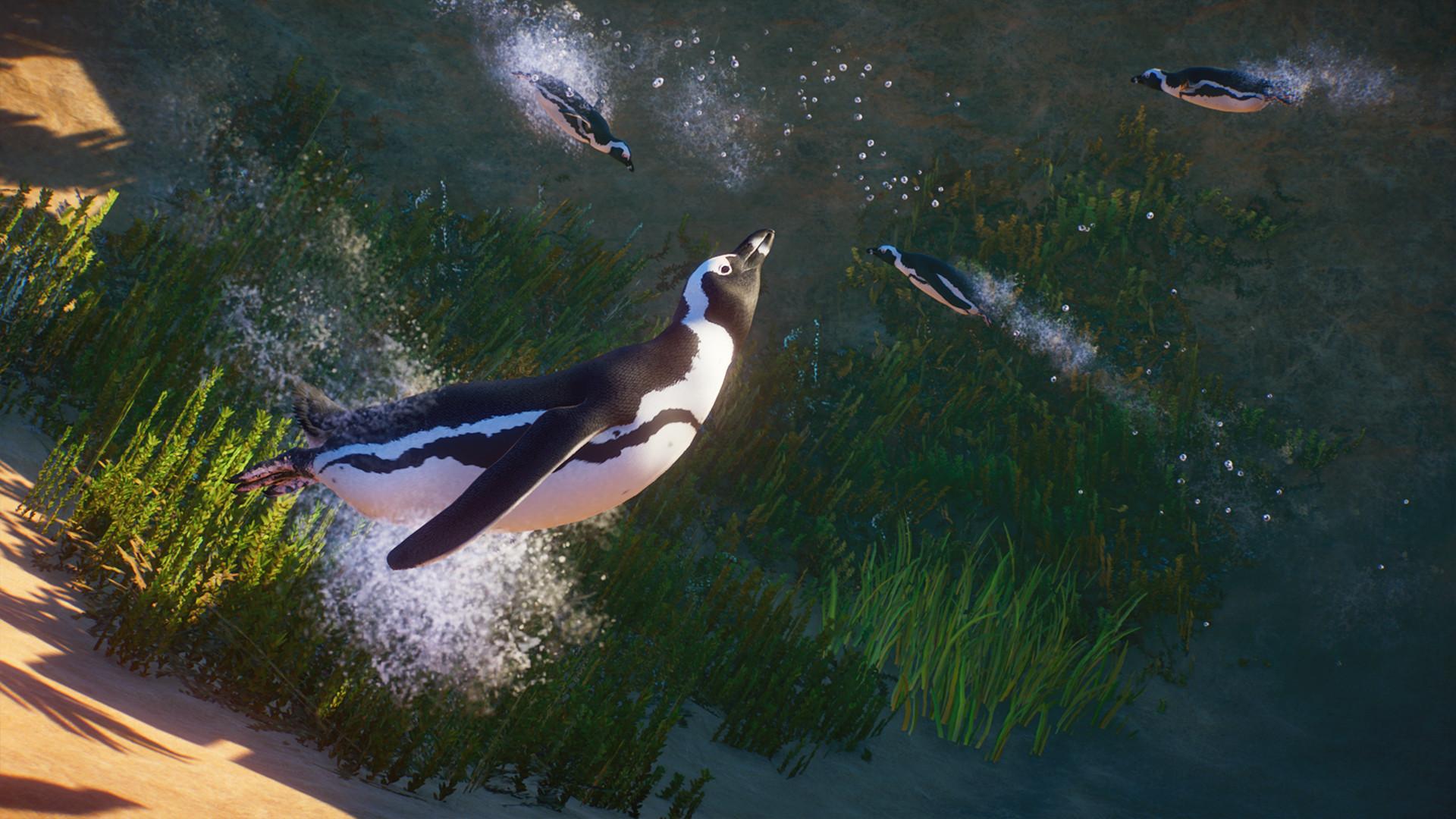 Planet Zoo - Africa Pack screenshot 5