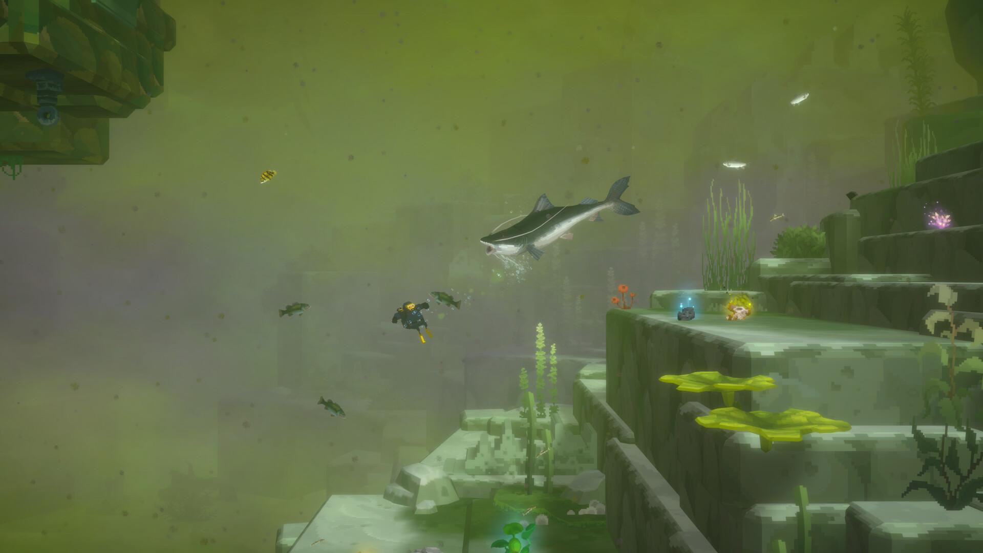 Dave & In the Jungle Bundle - Pre-Order screenshot 6
