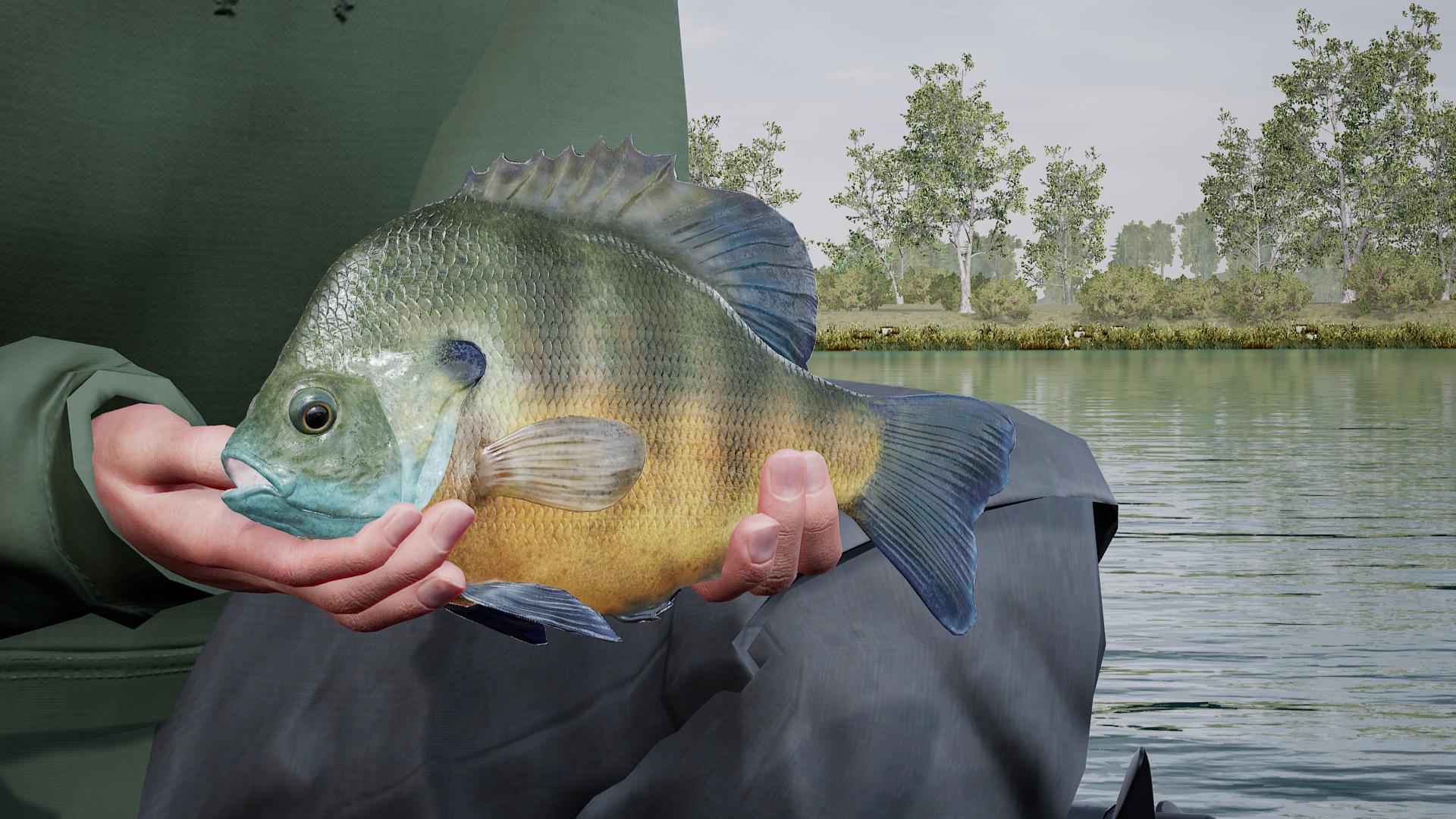 Fishing Sim World®: Pro Tour – Lake Williams screenshot 9