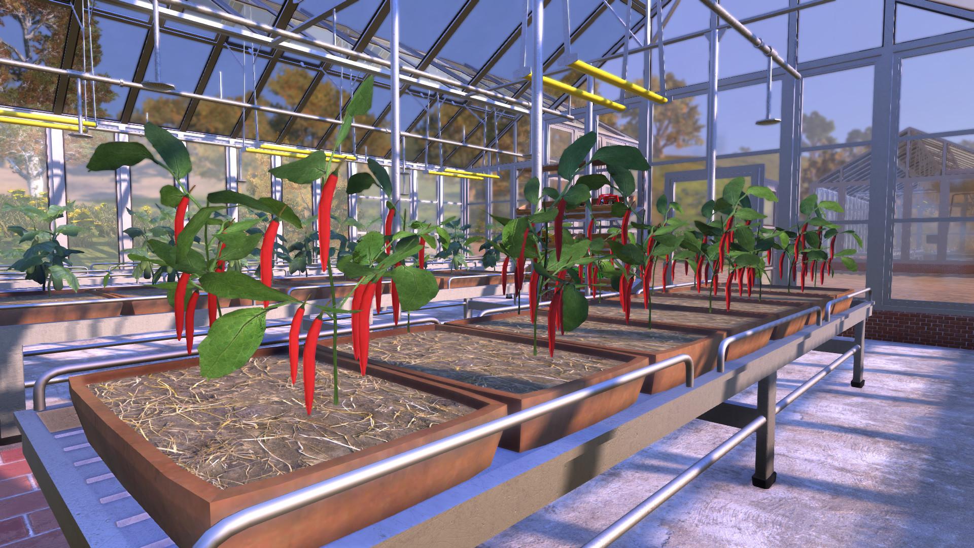 Farmer's Dynasty - Final Harvest Edition screenshot 2